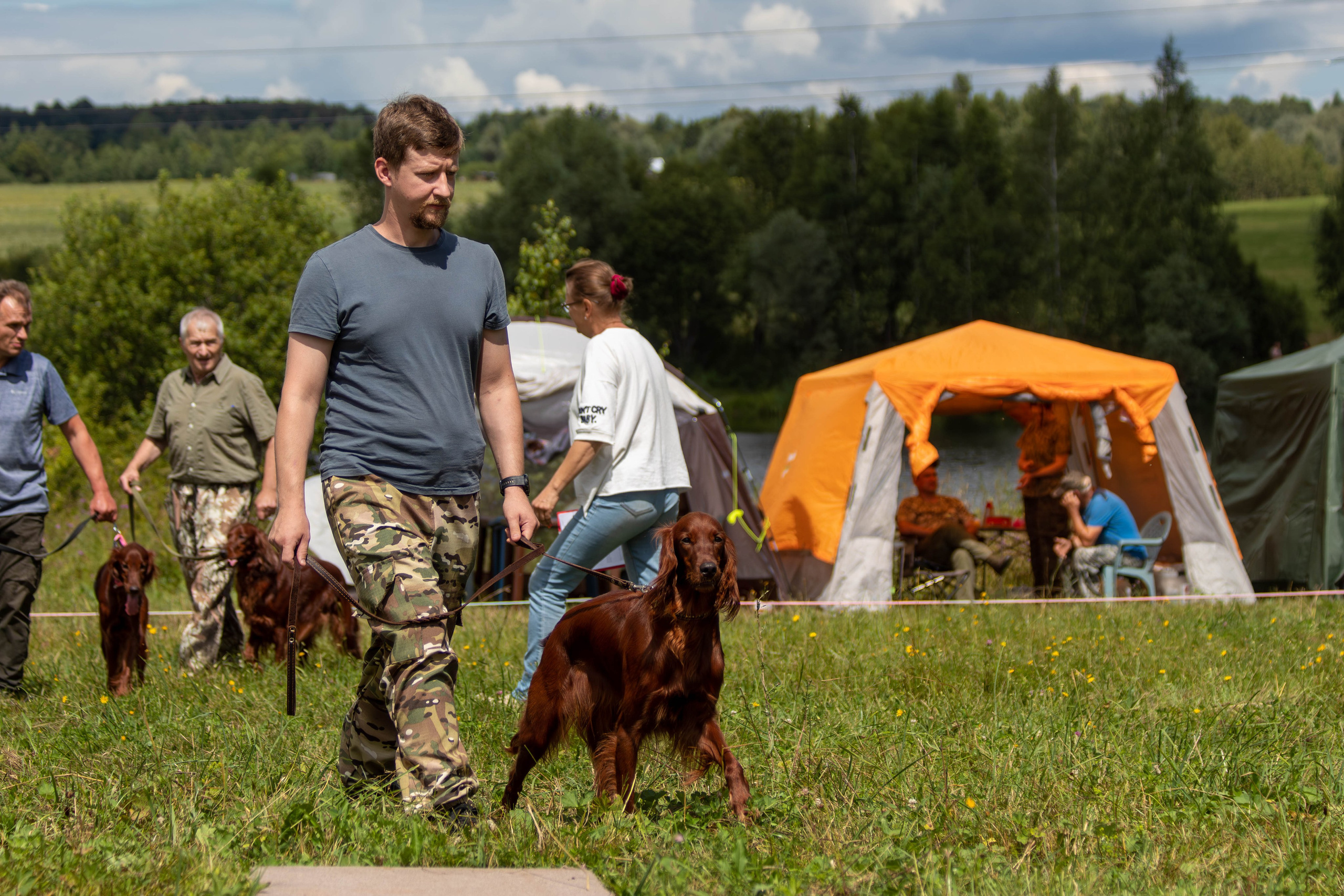 Репортажная съемка в Туле. Фотограф анималист — Тула, Москва