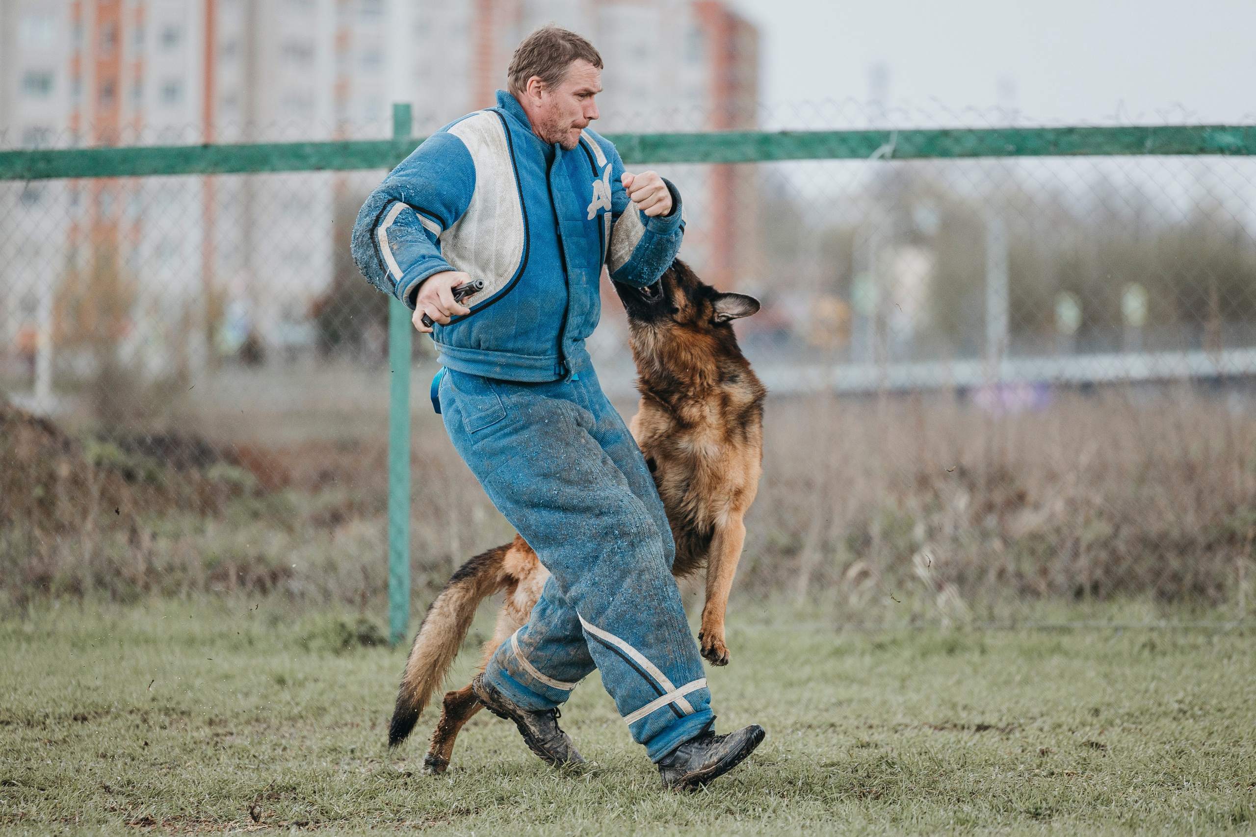 09.05.25 Вологда соревнования. Фотограф-анималист Анна Маринич
