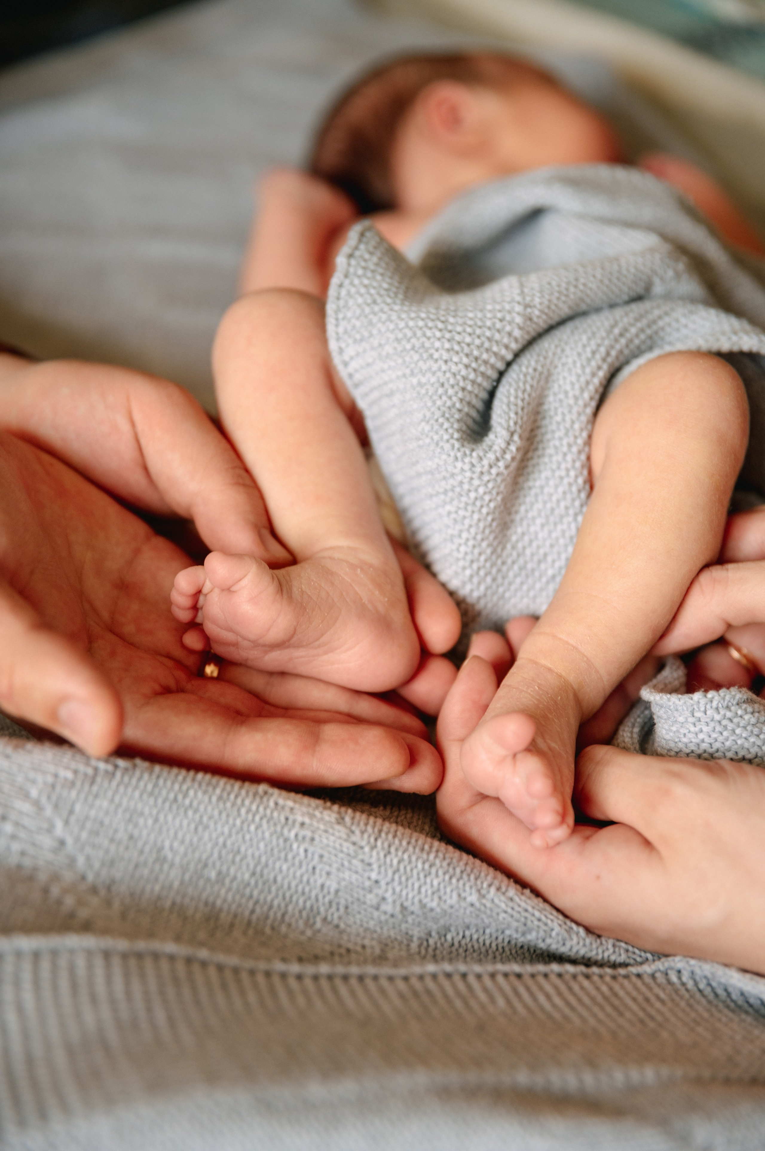 КАТЯ, КОЛЯ И ЗЛАТА. Шашкова Вероника / Свадебный и семейный фотограф Москва и Ярославль