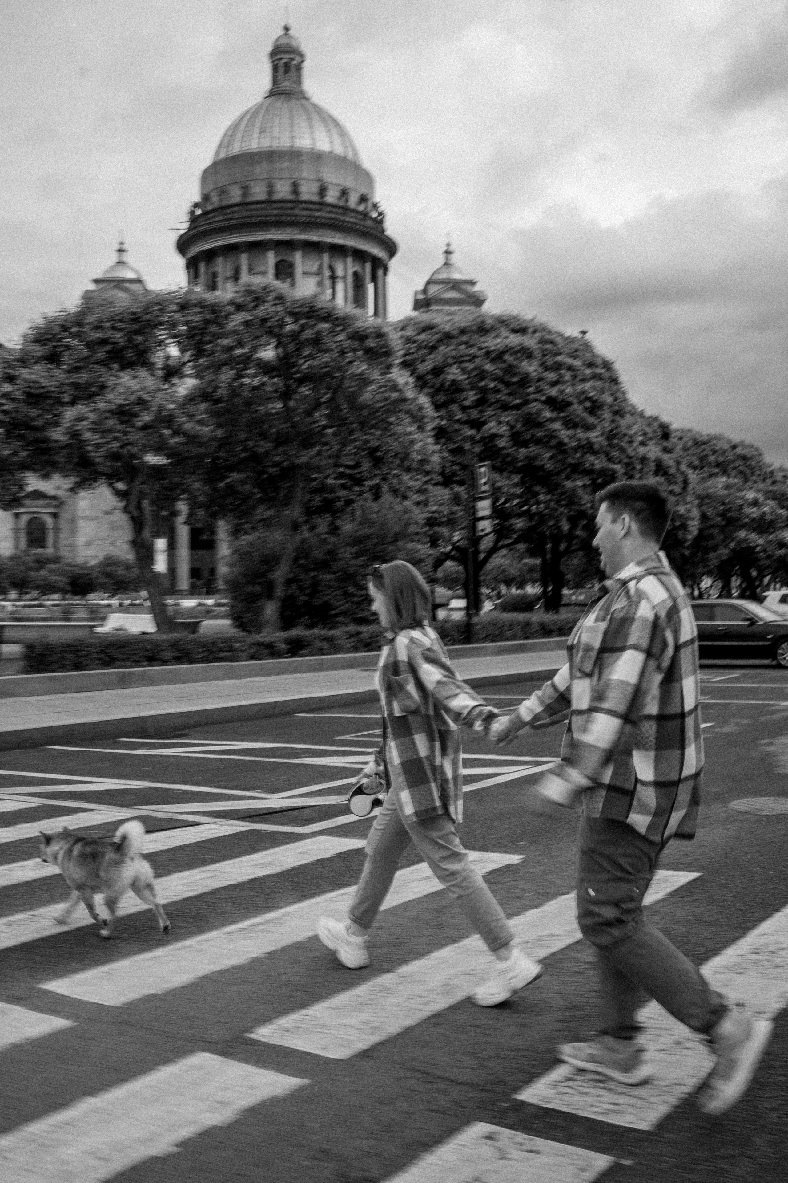 Сириус и его семья. Фотограф — Анималист | Санкт-Петербург