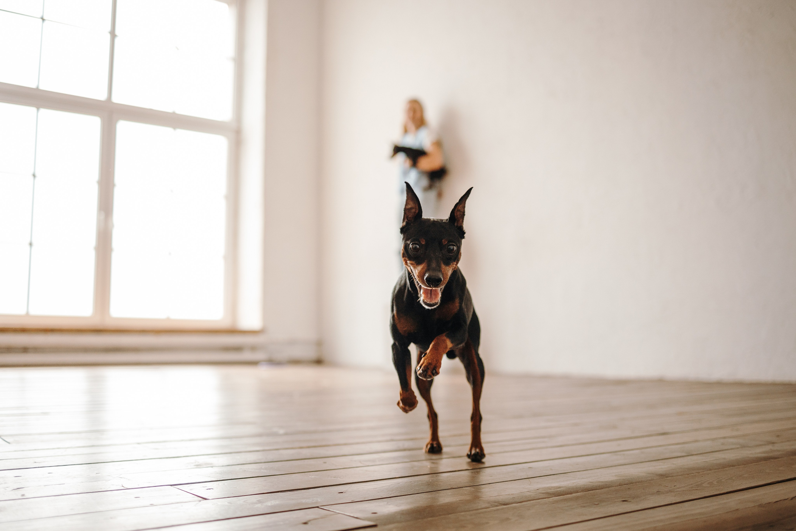 Катя и ее мальчики. Фотограф — Анималист | Санкт-Петербург