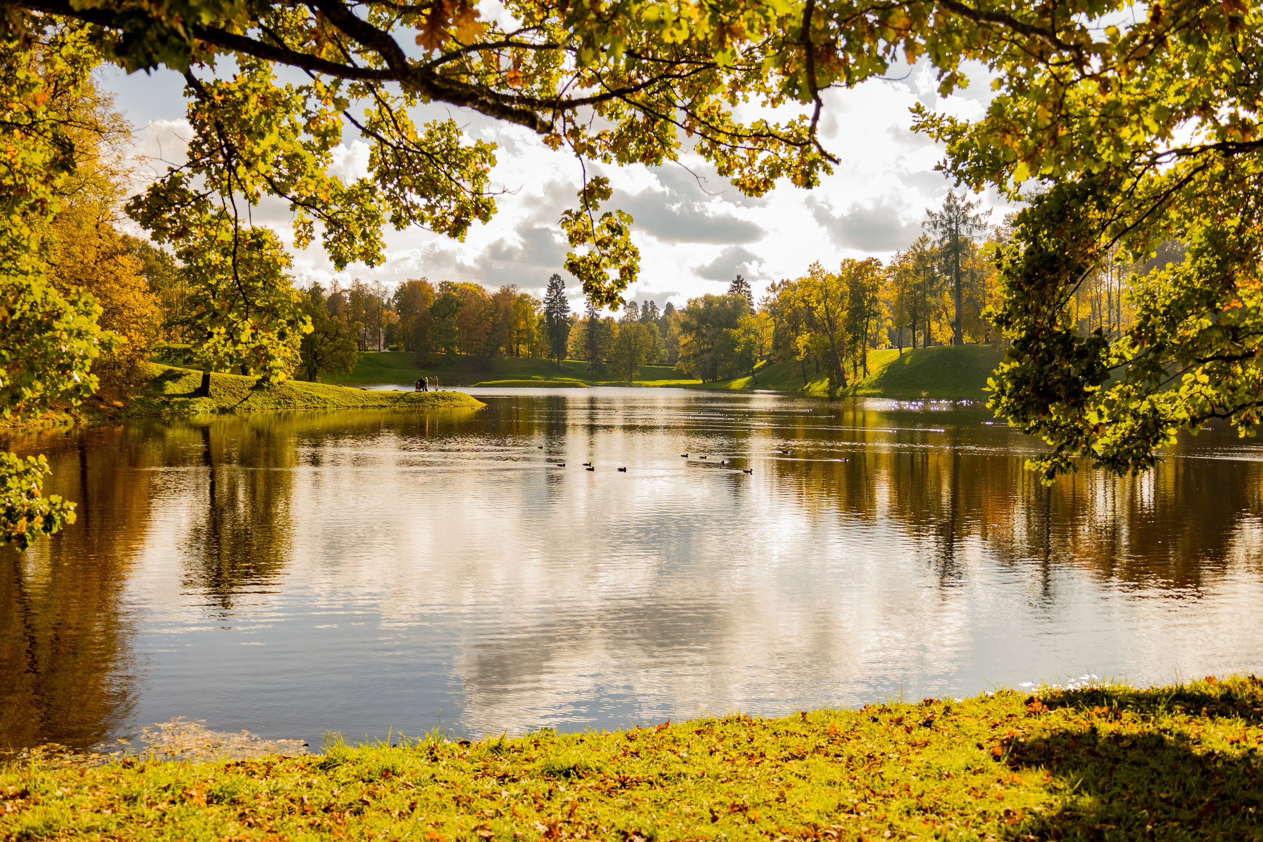 Природа, пейзажи. Гергерт Ксения фотограф в Санкт-Петербурге