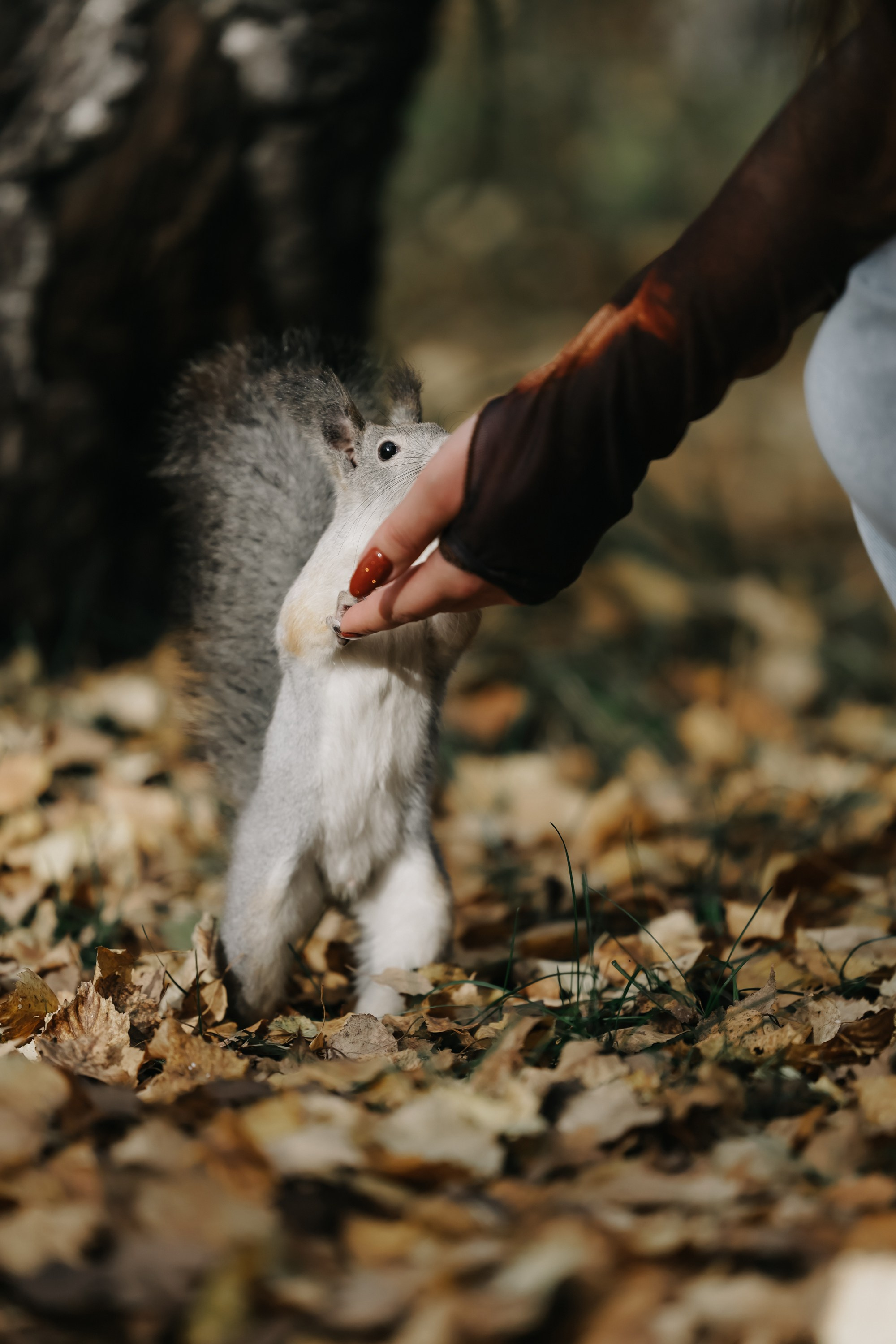 Екатерина. Фотограф свадебный, репортажный, индивидуальный, фото для маркетплейсов, брендов, автосалонов