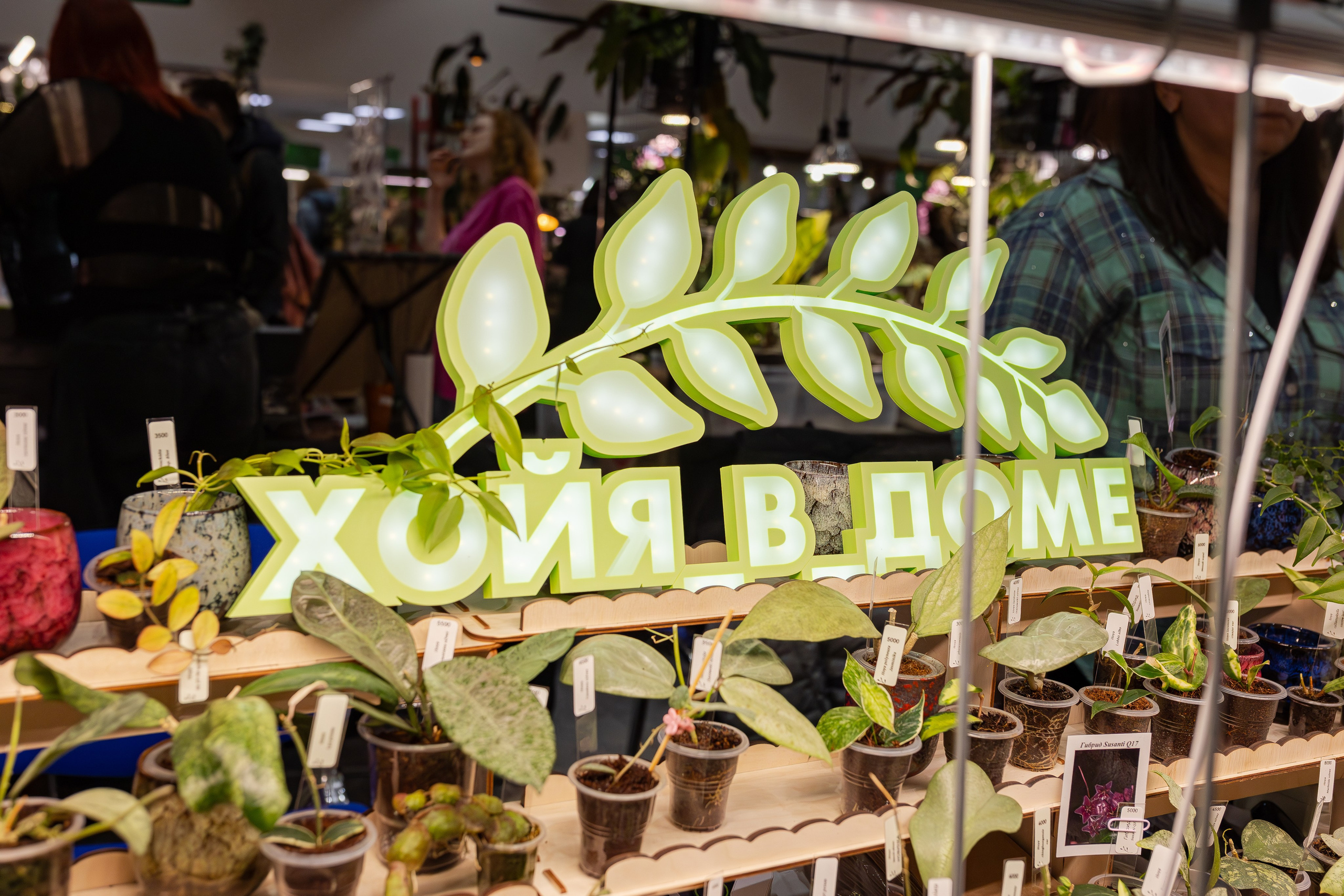 Монстериум апрель 2026. Александра Куликова фотограф, Москва