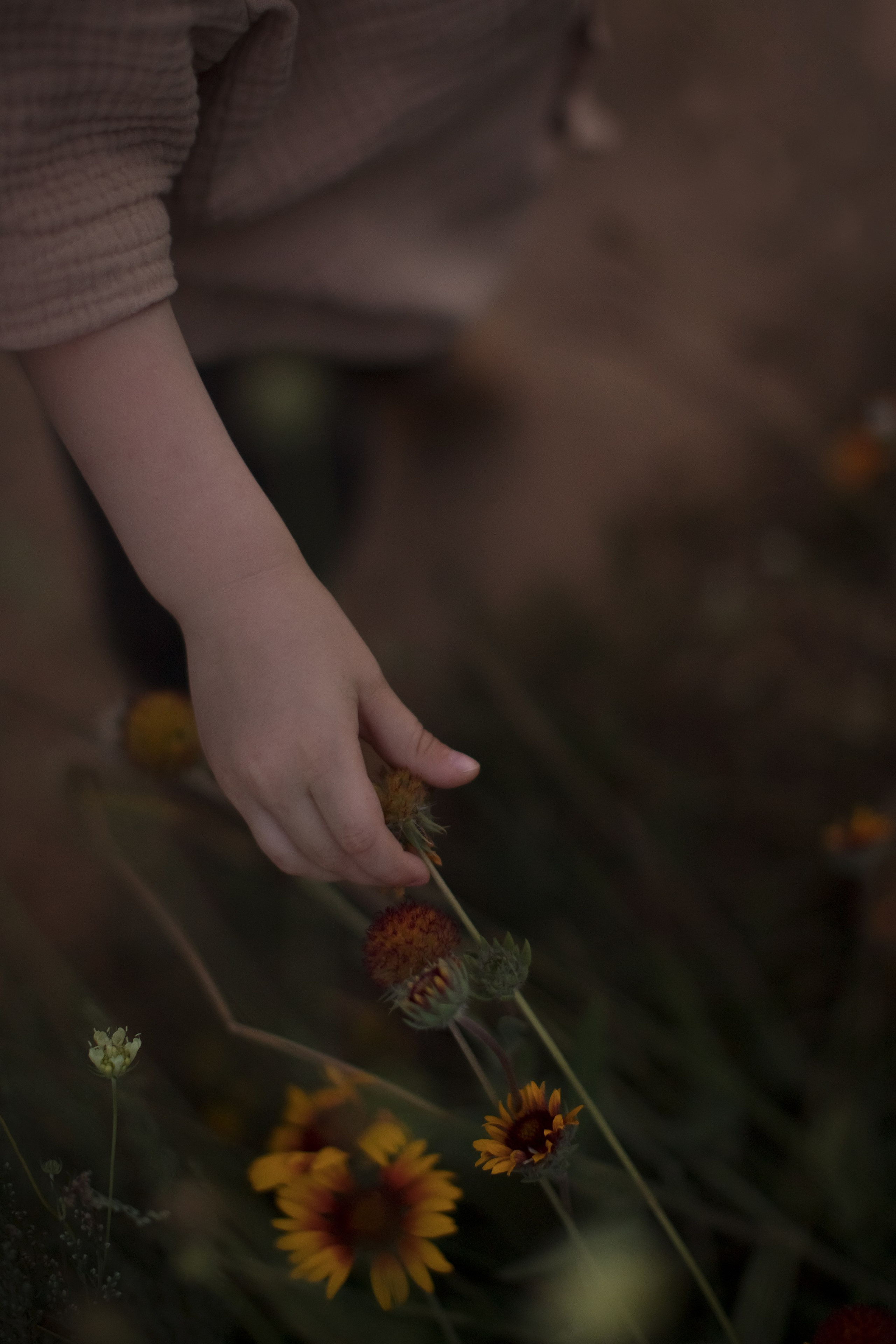 Семейное лето. Семейный и детский фотограф в Саратове Полина Коткина