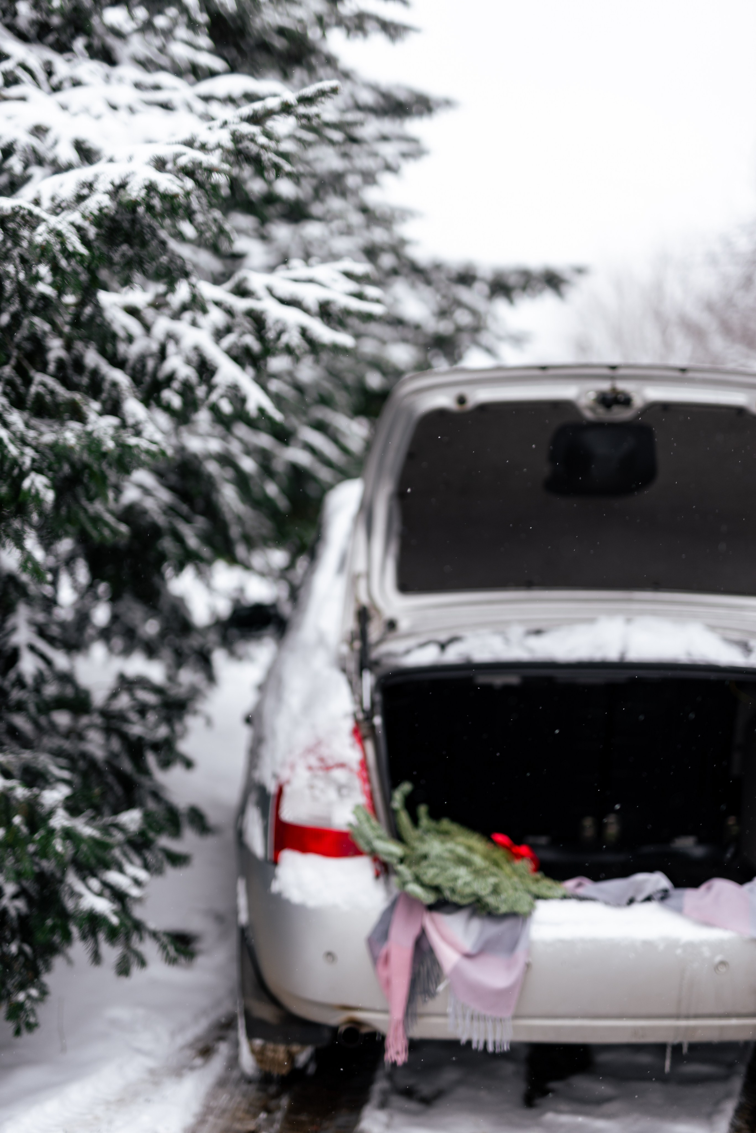 Новогодняя фотосессия в горячем ключе. Свадебный фотограф в Горячем Ключе Смирнова Дина