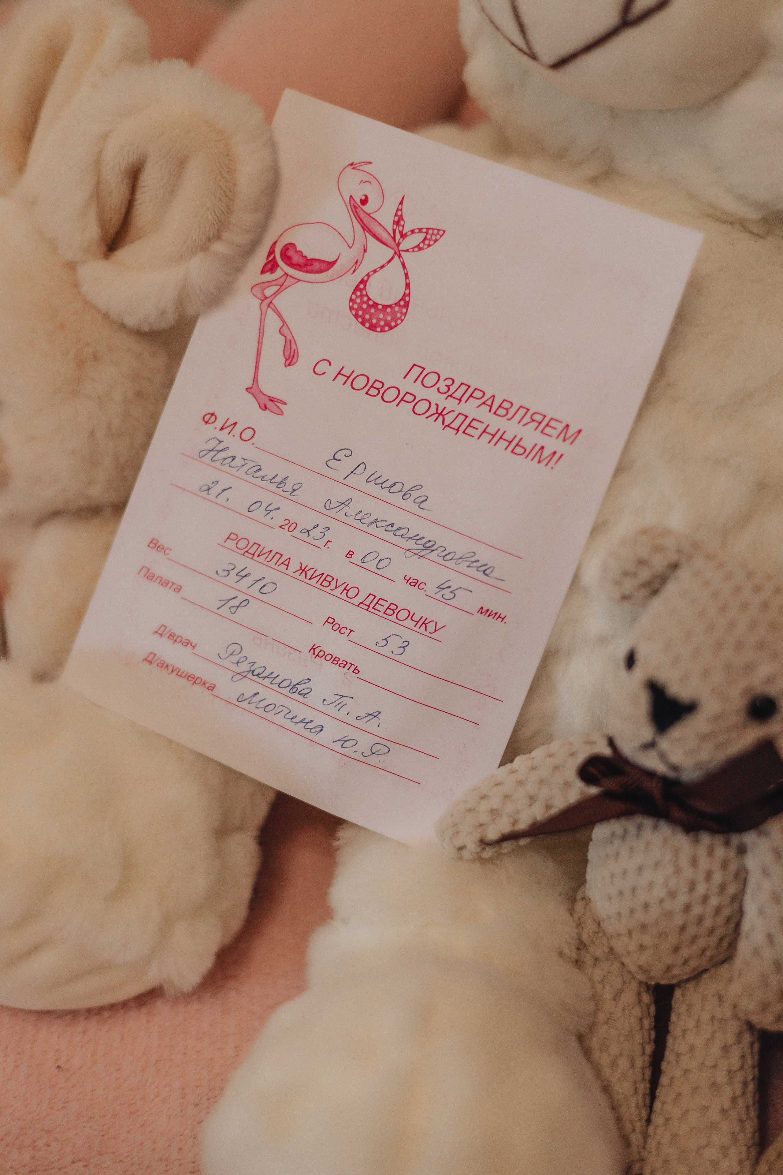 Выписка Дианы. Свадебный и семейный фотограф Пушкин Царское Село СПБ Питер Санкт-Петербург и Рязань Ольга Козлова