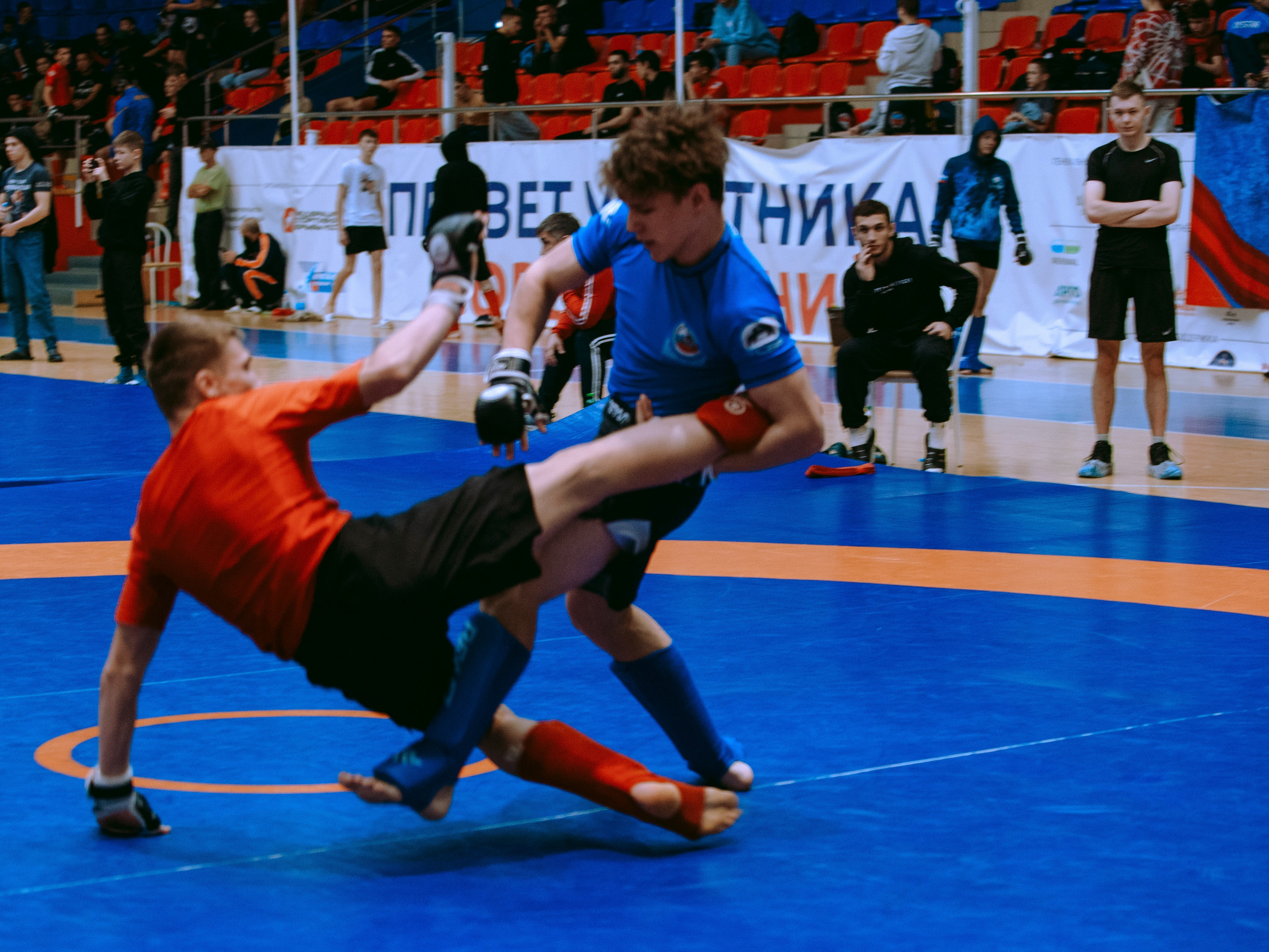 ПАНКРАТИОН | Чемпионат и первенство СФО | март `24. Портретный фотограф в Москве Дарья Цезария