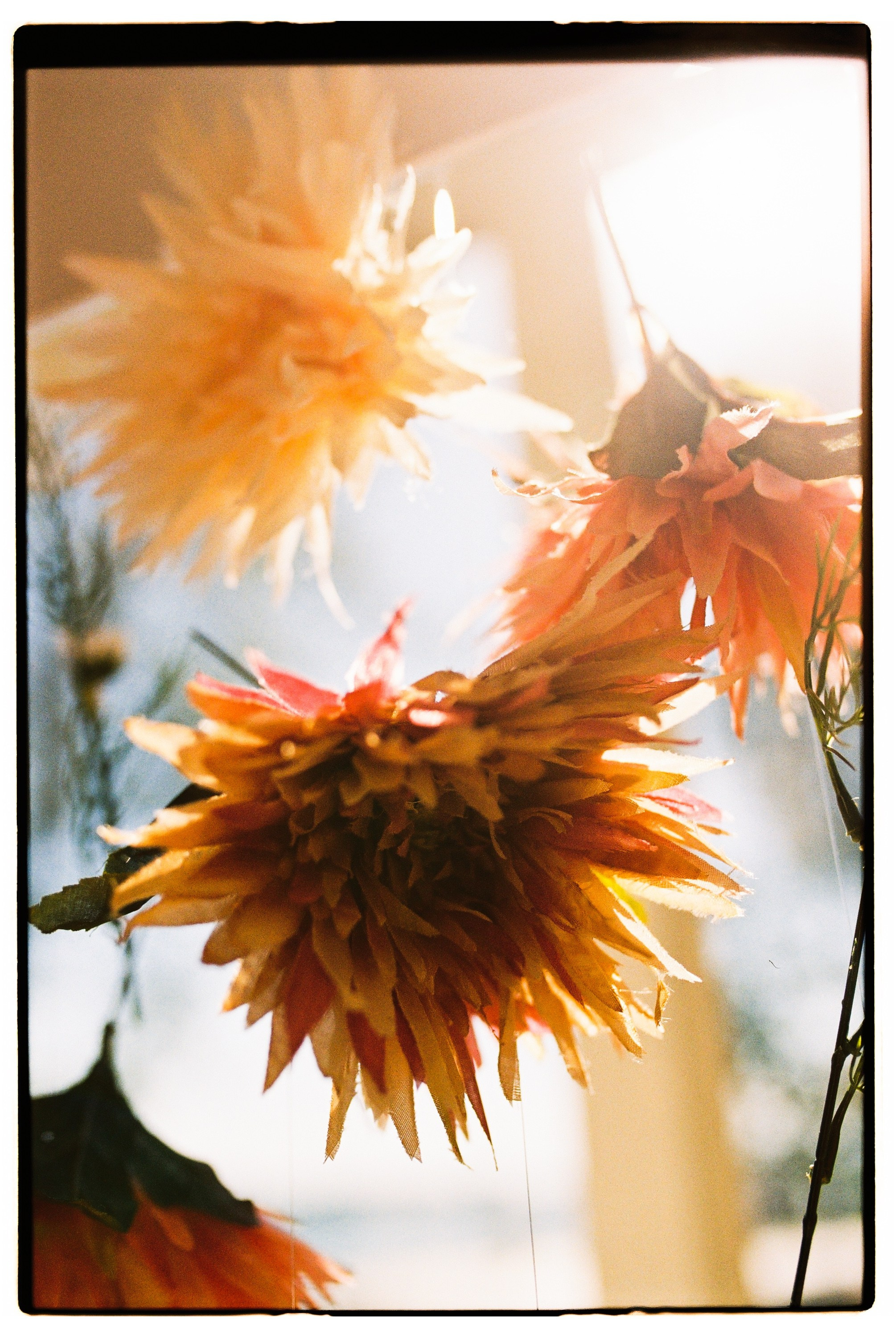 Валентин и София. Свадебный фотограф в Москве Евгений Рыжов