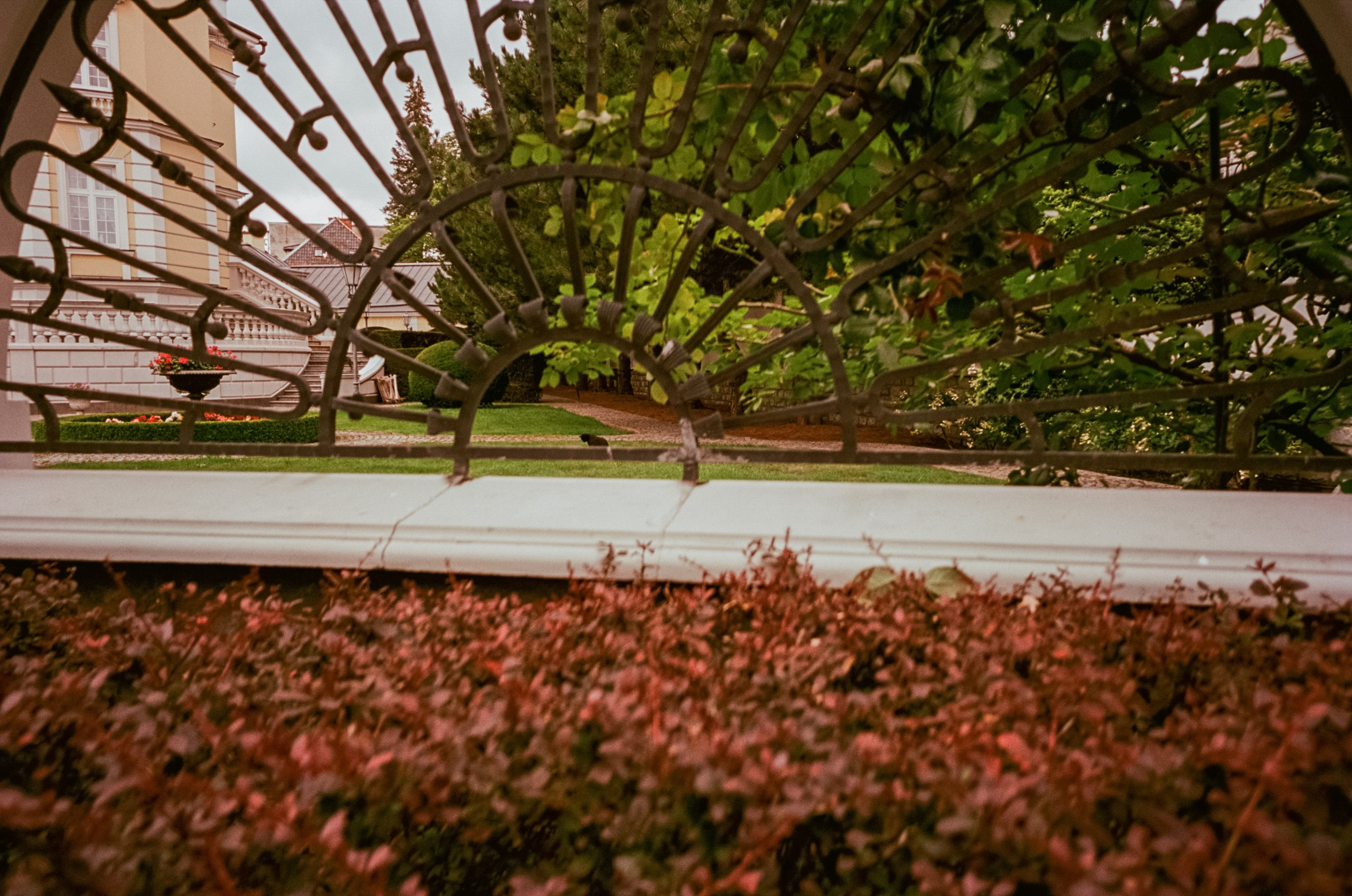 Прогулки по Калининграду. Верхнее озеро и арт-кафе Толстой. Фотограф-документалист Мария Осокина