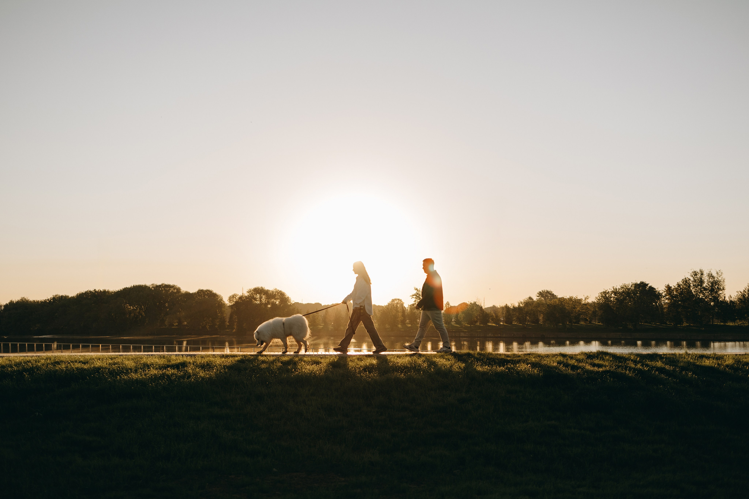 Танго и его семья. Фотограф — Анималист | Санкт-Петербург