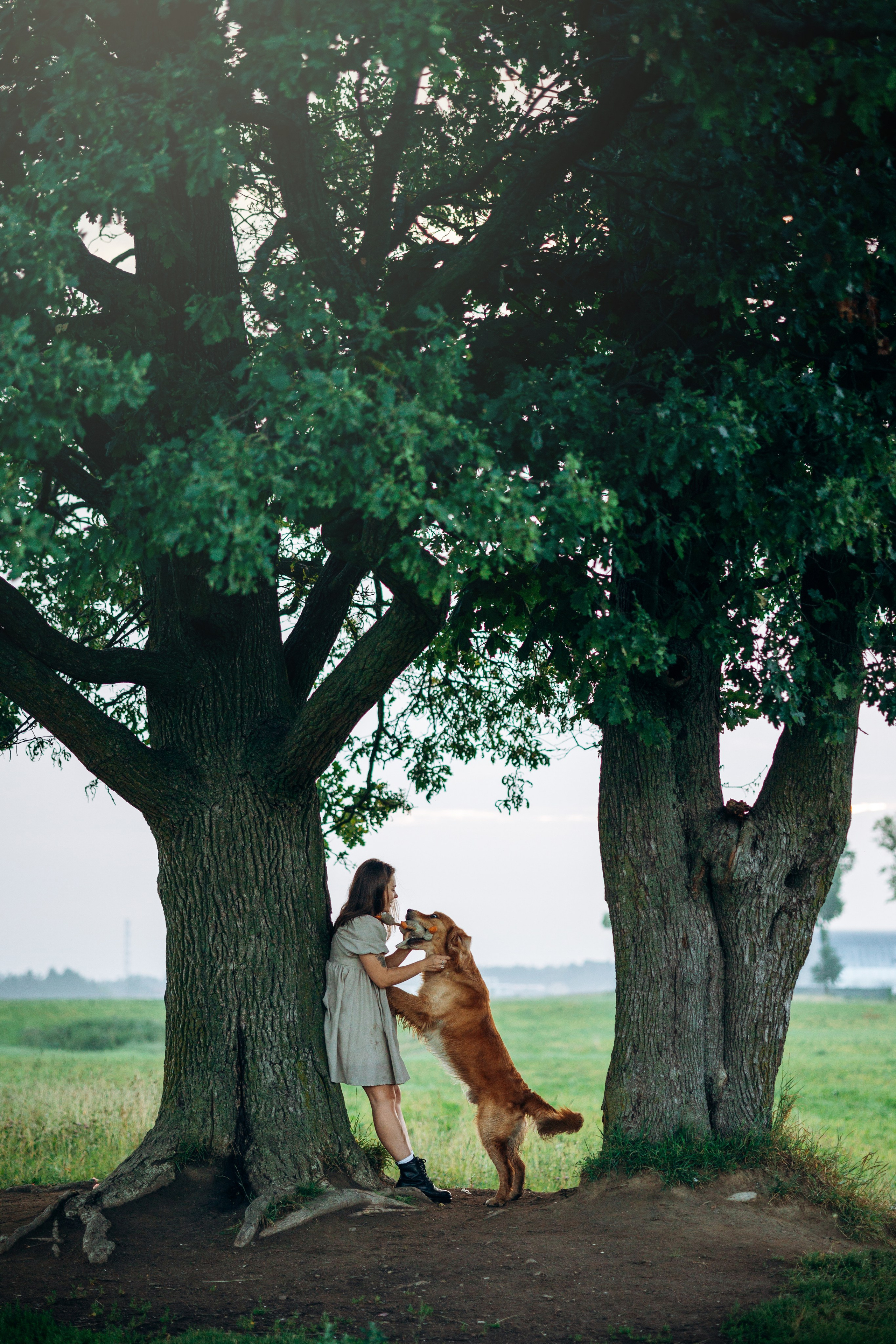 Аня и Ноллан. Фотограф — Анималист | Санкт-Петербург