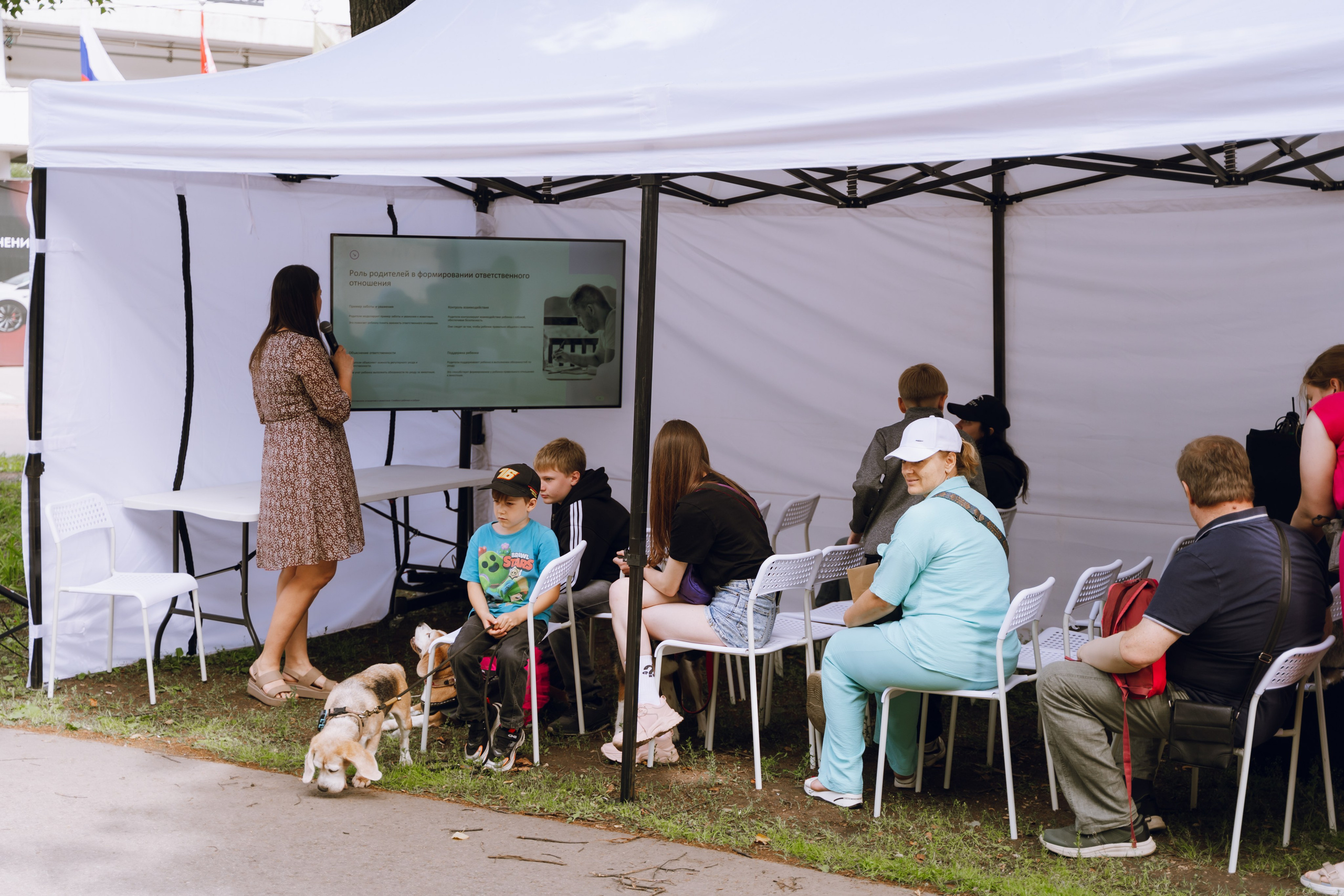 Площадка фестиваля «Мампус и его друзья» в Лесопарке 2025. Фотограф Надежда Погребняк | Рязань | Москва