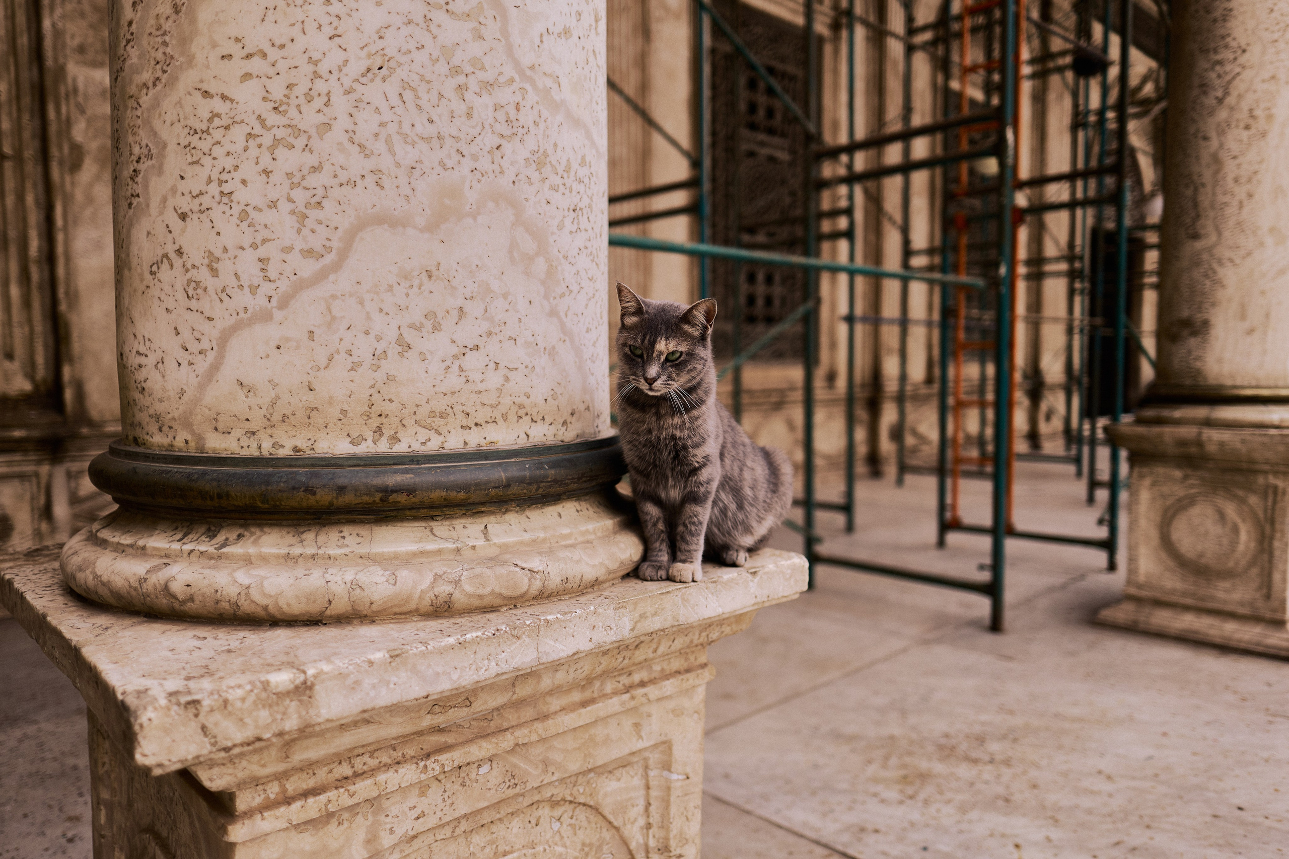 Другое 4. Jorgis — фотограф в Хургаде / обучение фотографии