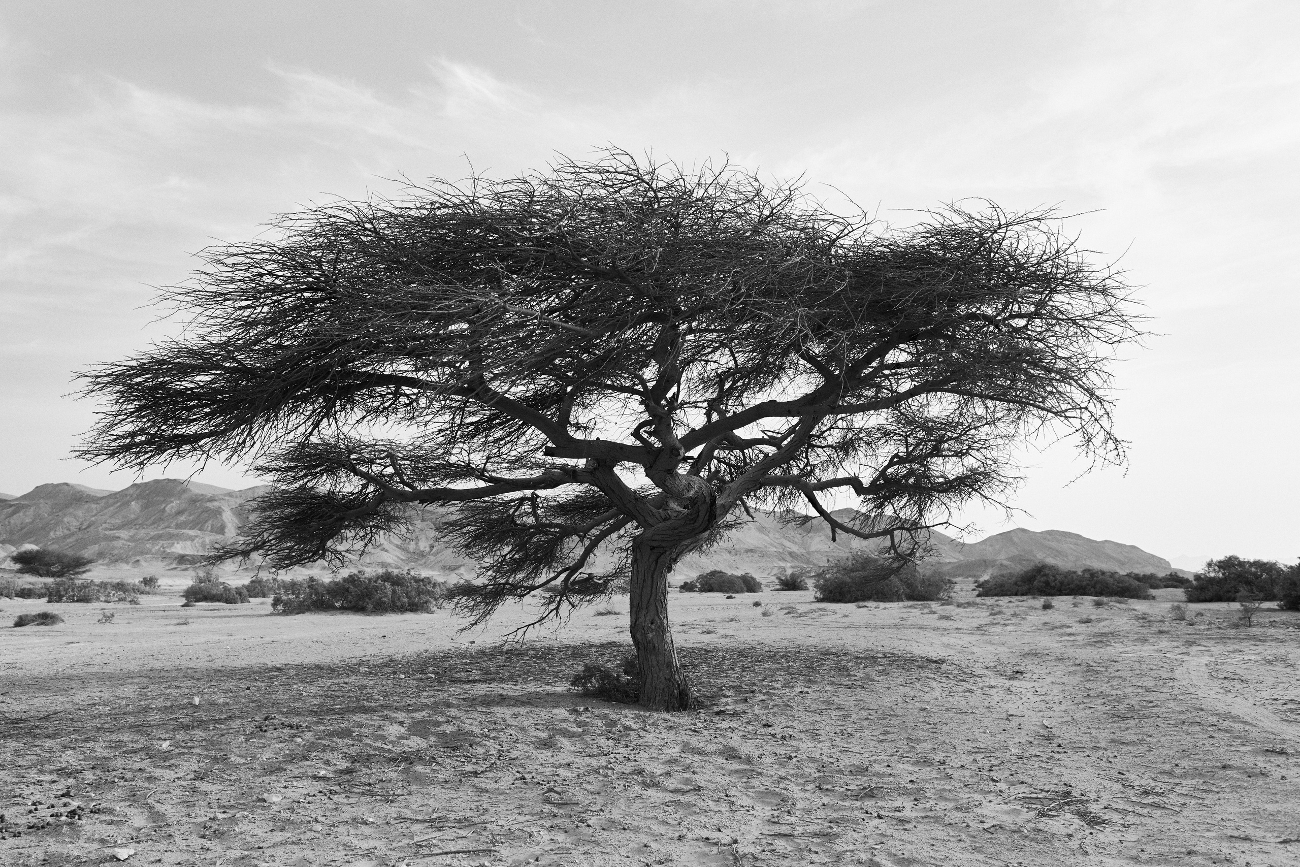 B&W. Jorgis — фотограф в Хургаде / обучение фотографии