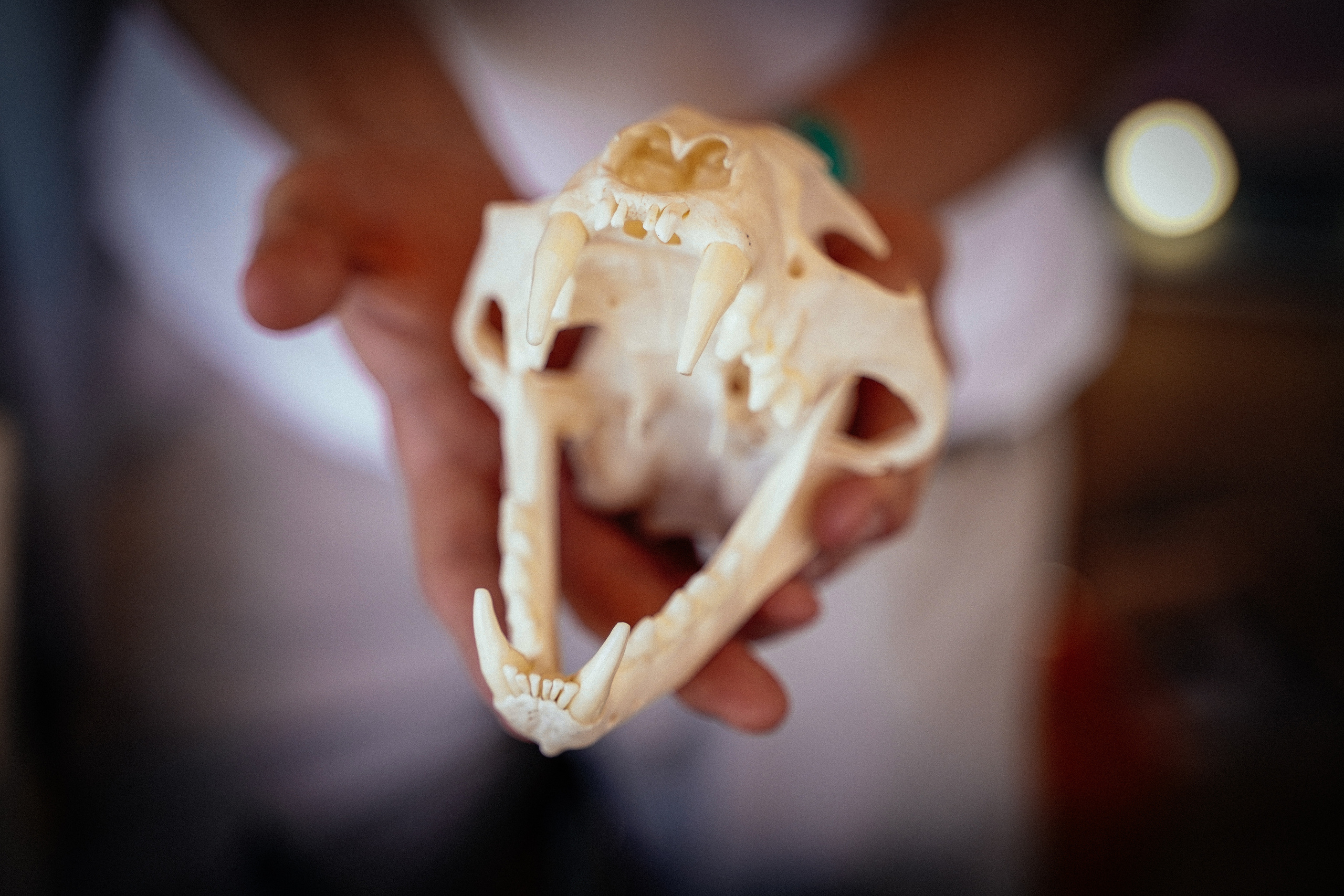 Event фотограф Новосибирск. Репортажный фотограф в Новосибирске. Алексей Гриценко