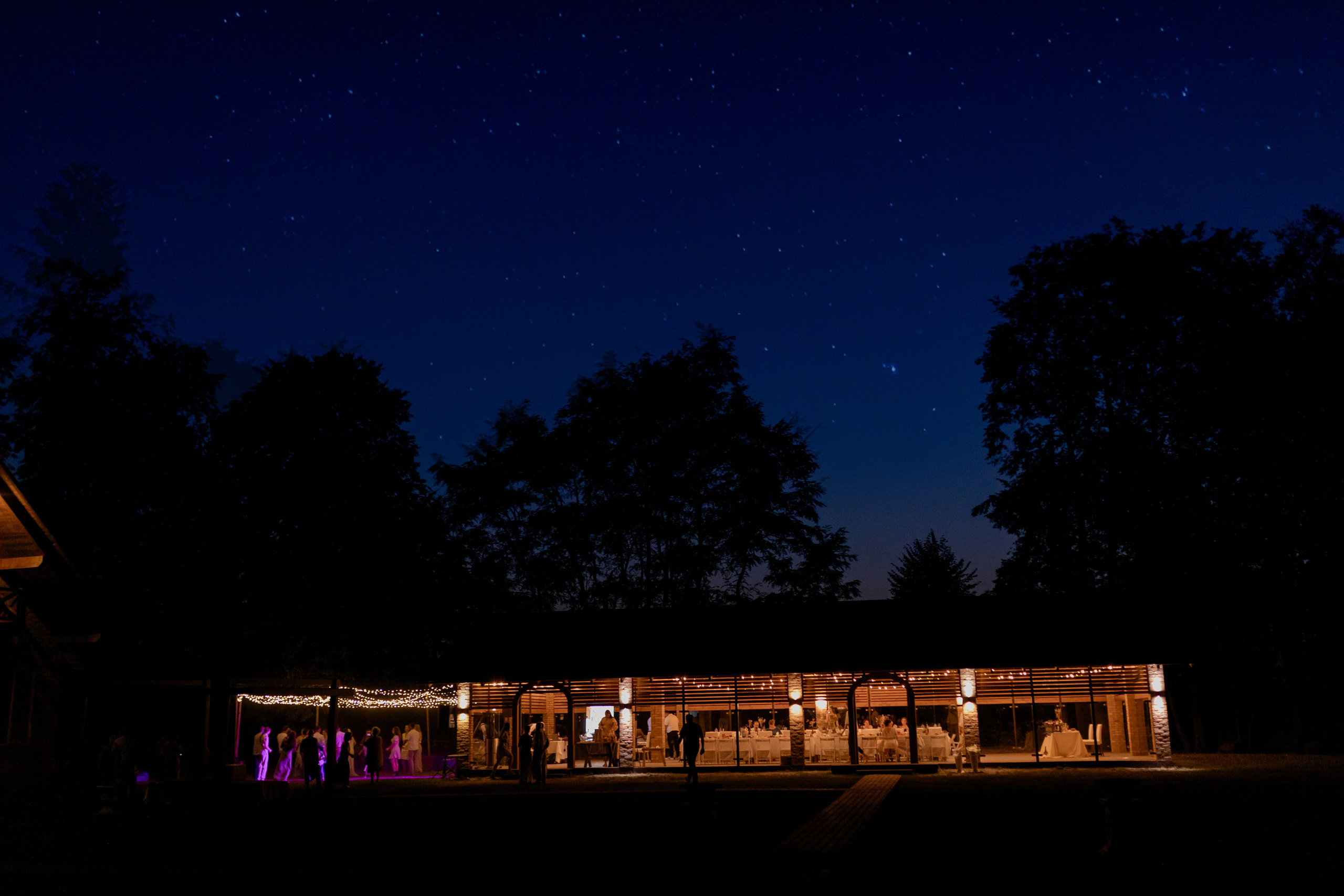 Виноградники. Dima Lemeshevsky