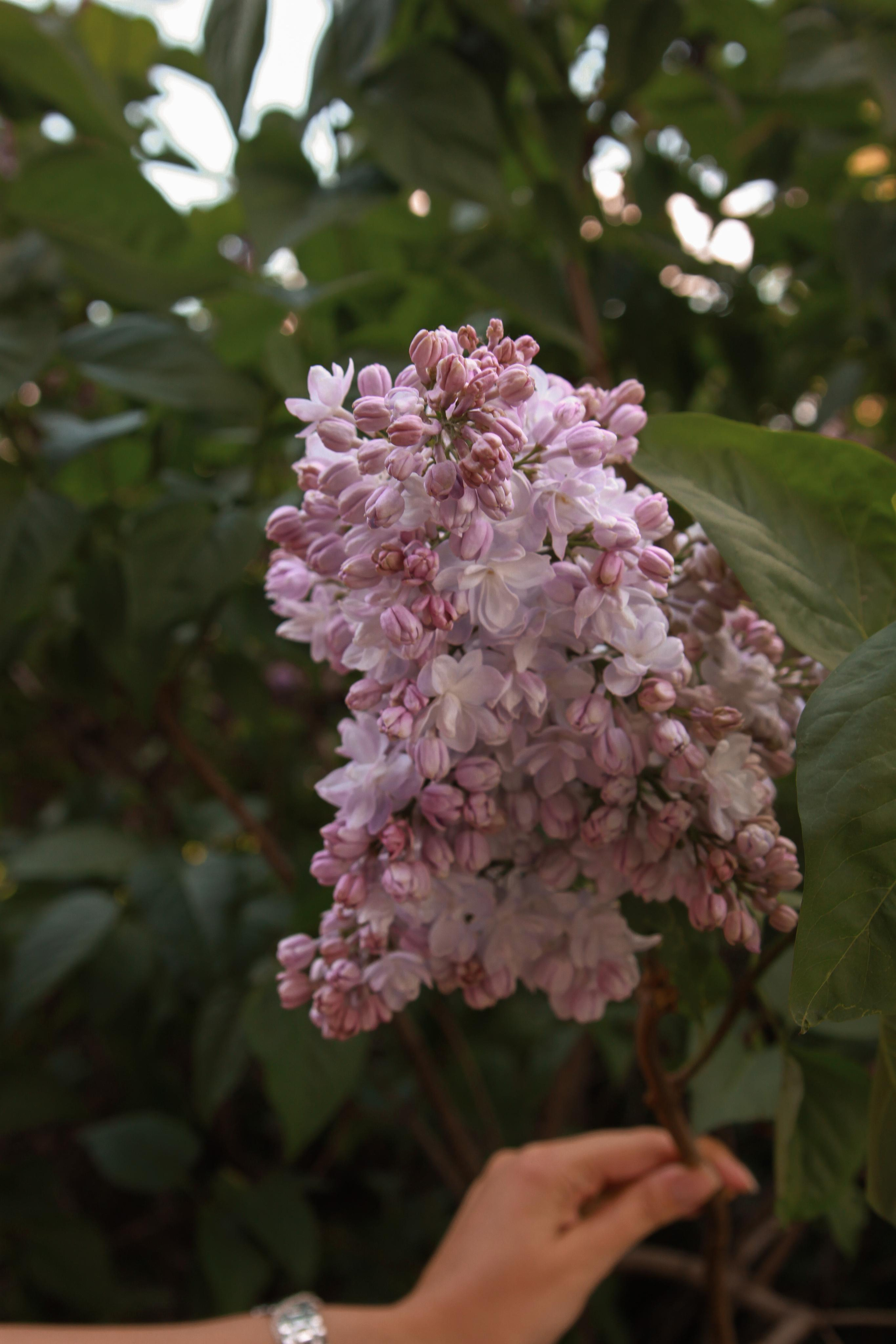 Alena. Фотограф Ирина Воробьева