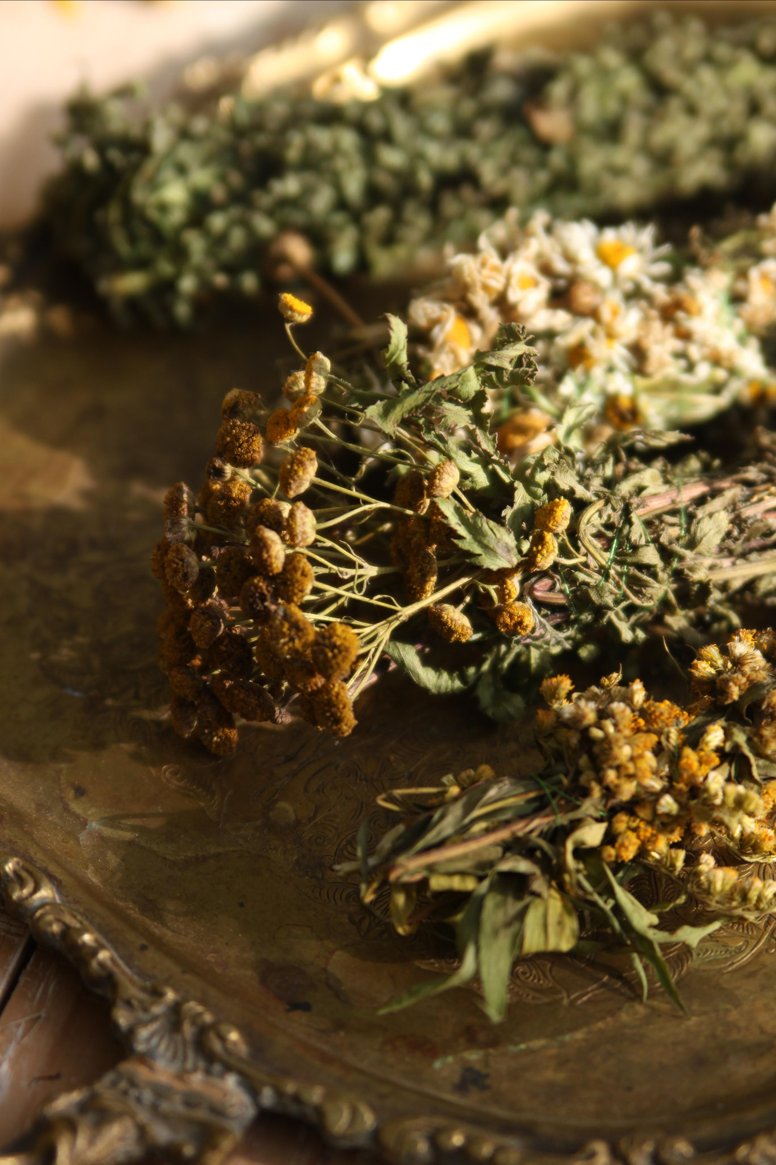 Natamulety. Фотограф Ирина Воробьева