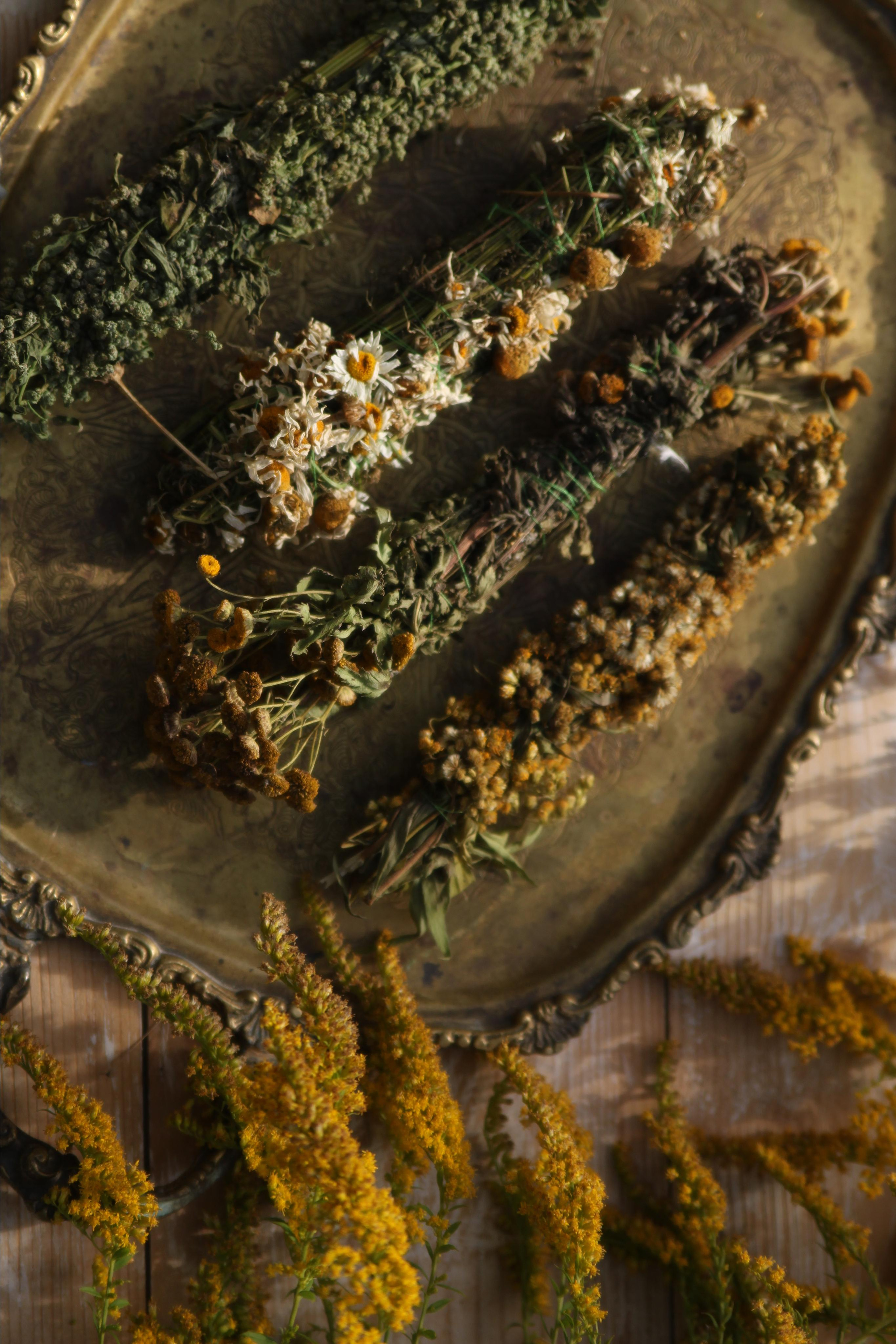 Natamulety. Фотограф Ирина Воробьева