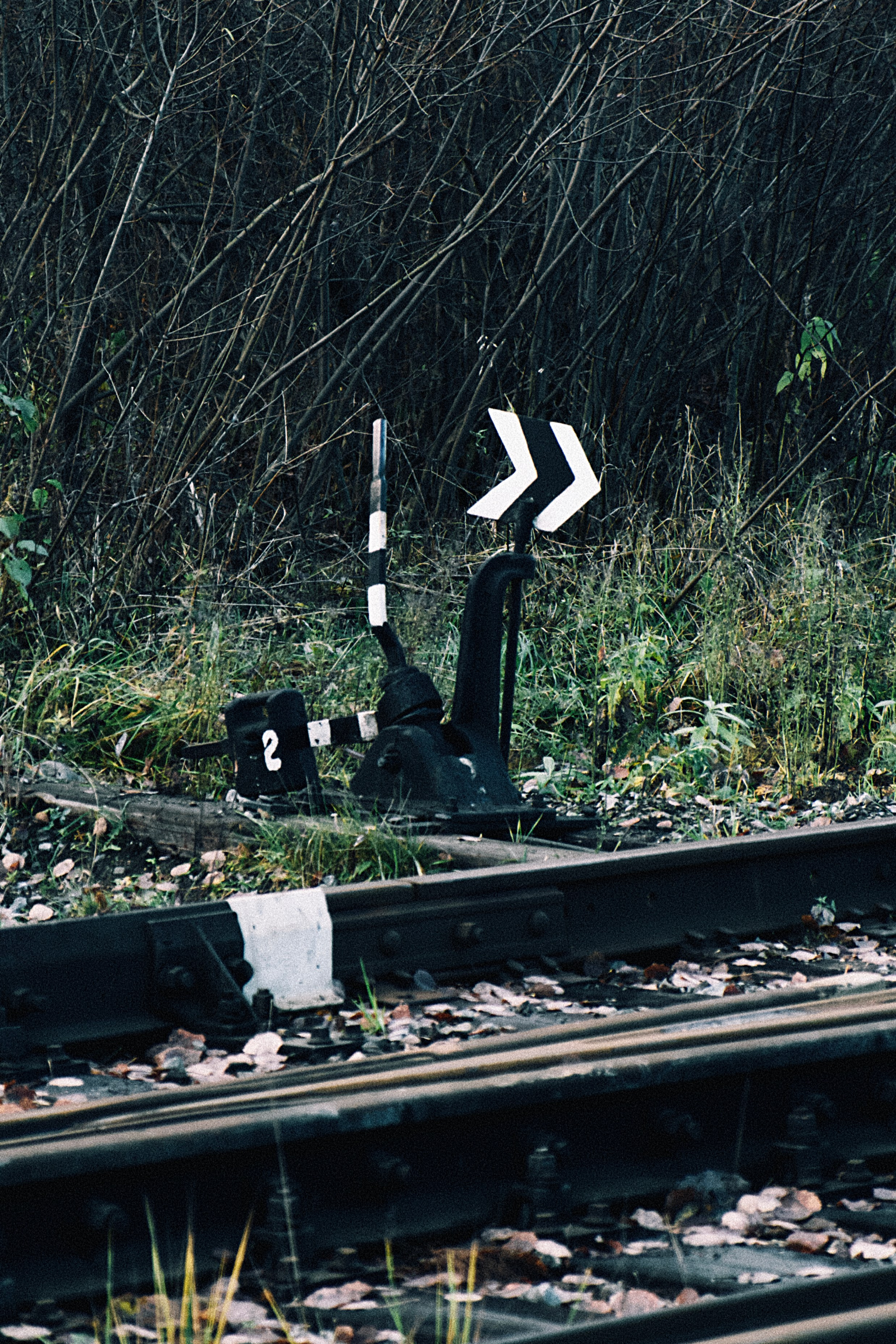 Уличная фотография из Кирова. Фотограф-любитель из Кирова Андрей Погребняк