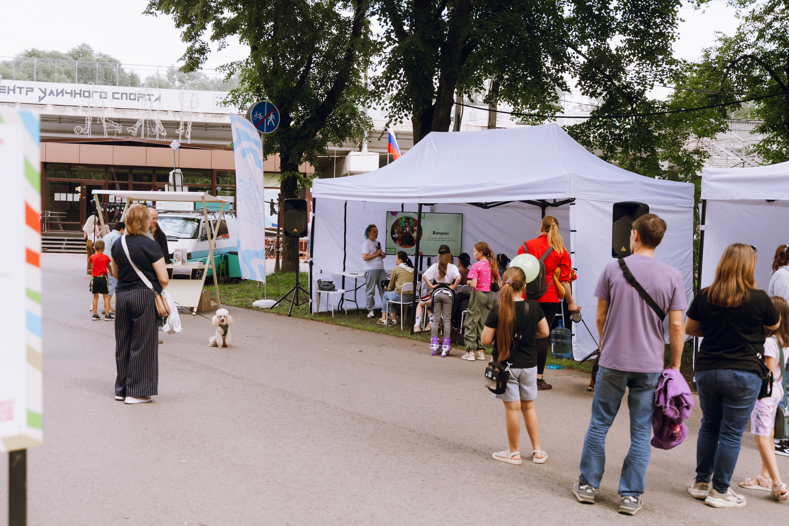 Площадка фестиваля «Мампус и его друзья» в Лесопарке 2025. Фотограф Надежда Погребняк | Рязань | Москва