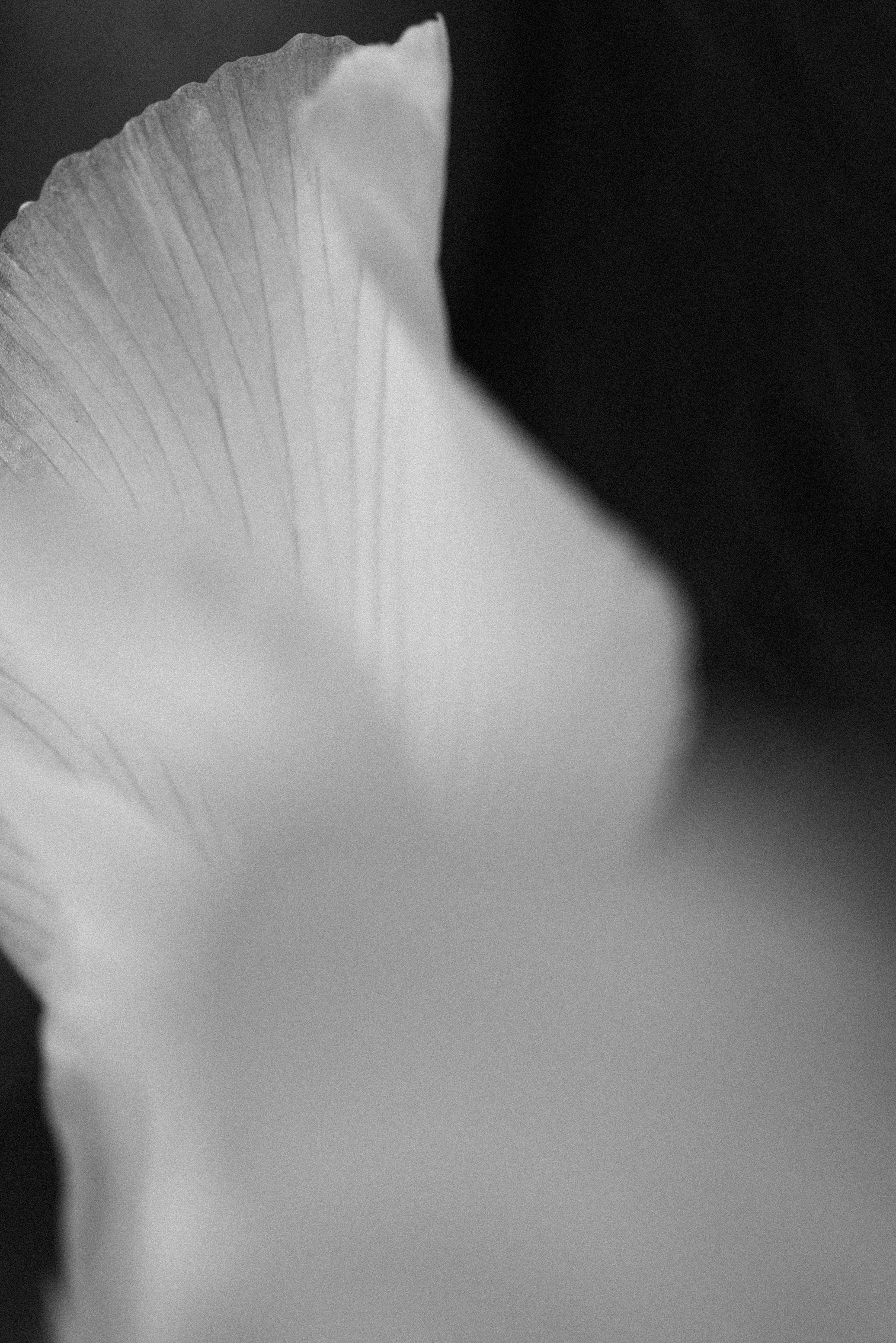 I am Diana, a portrait photographer. I take pictures around the world