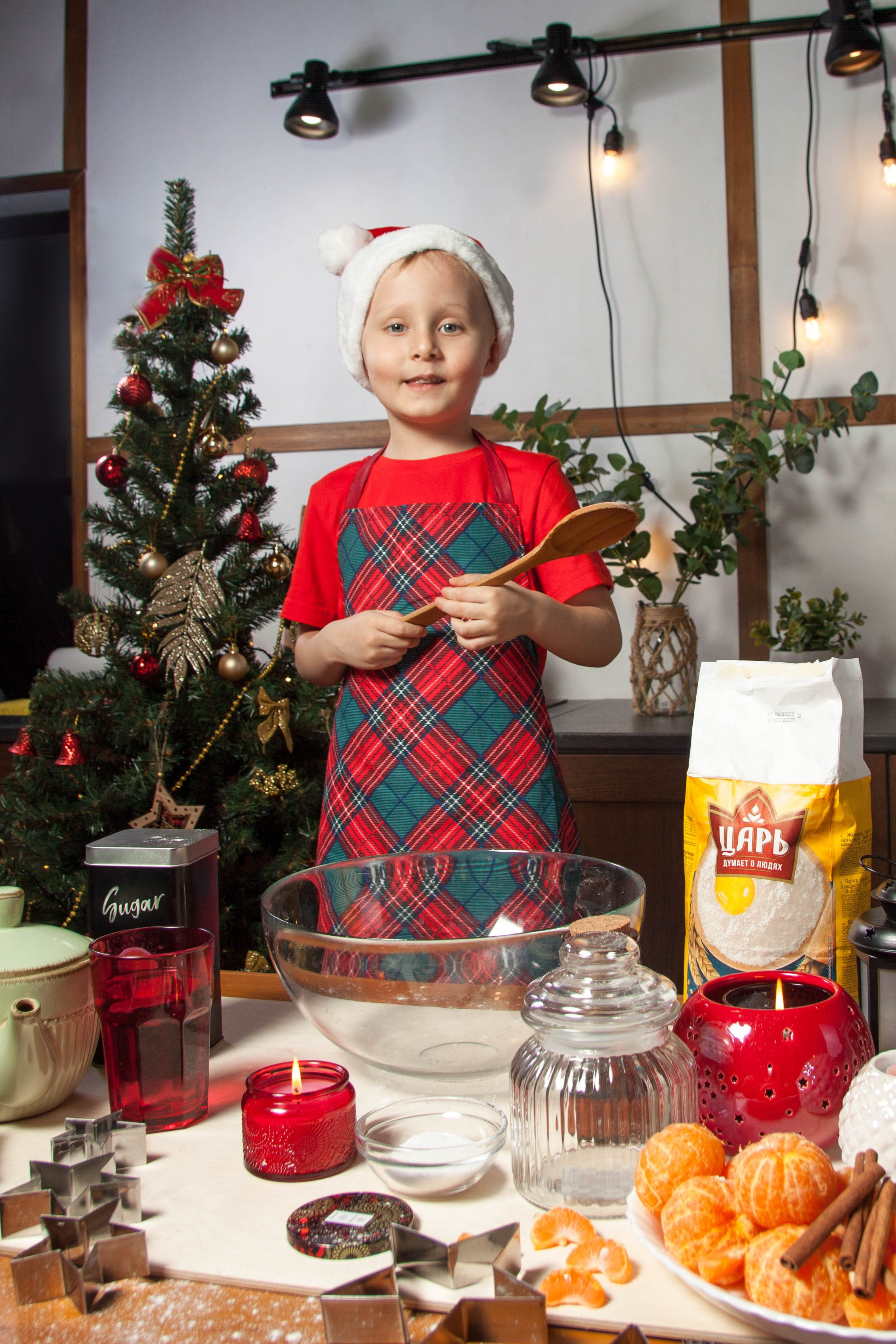 Новогодняя фотосессия «Регина и динамик». Свадебный фотограф
