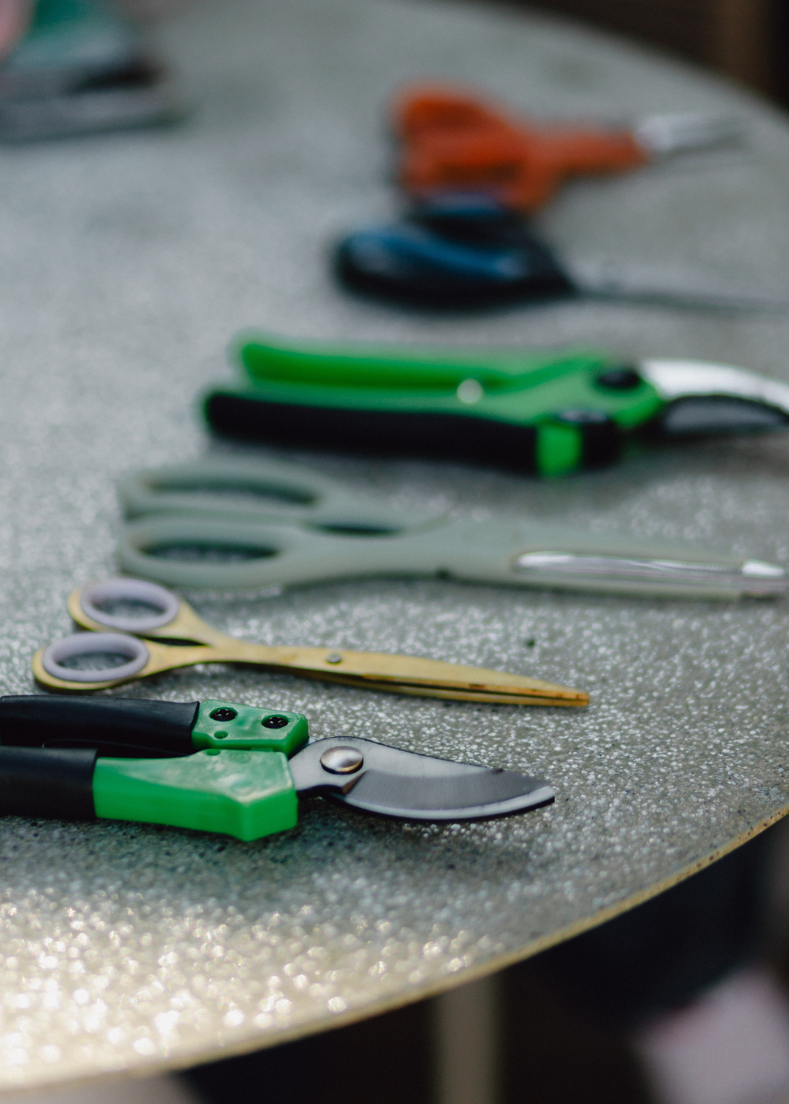 Flower Workshop. Barbara Isaeva