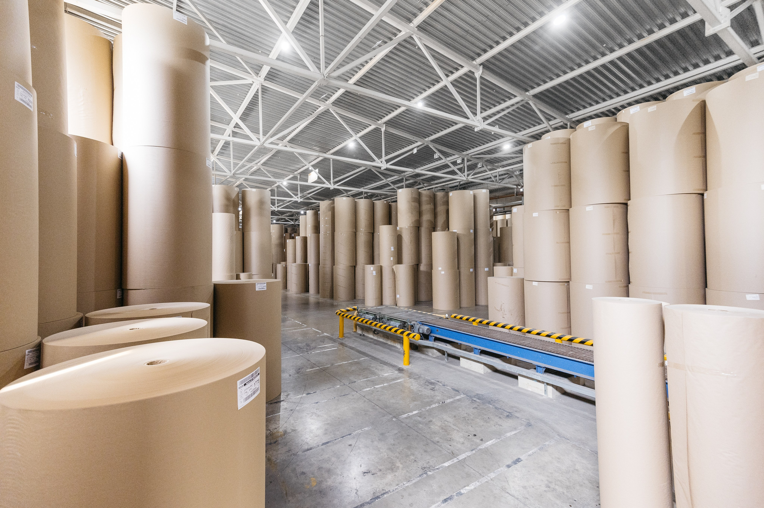 Проекты. Профессиональный фотограф Вячеслав Плацында | Липецк |