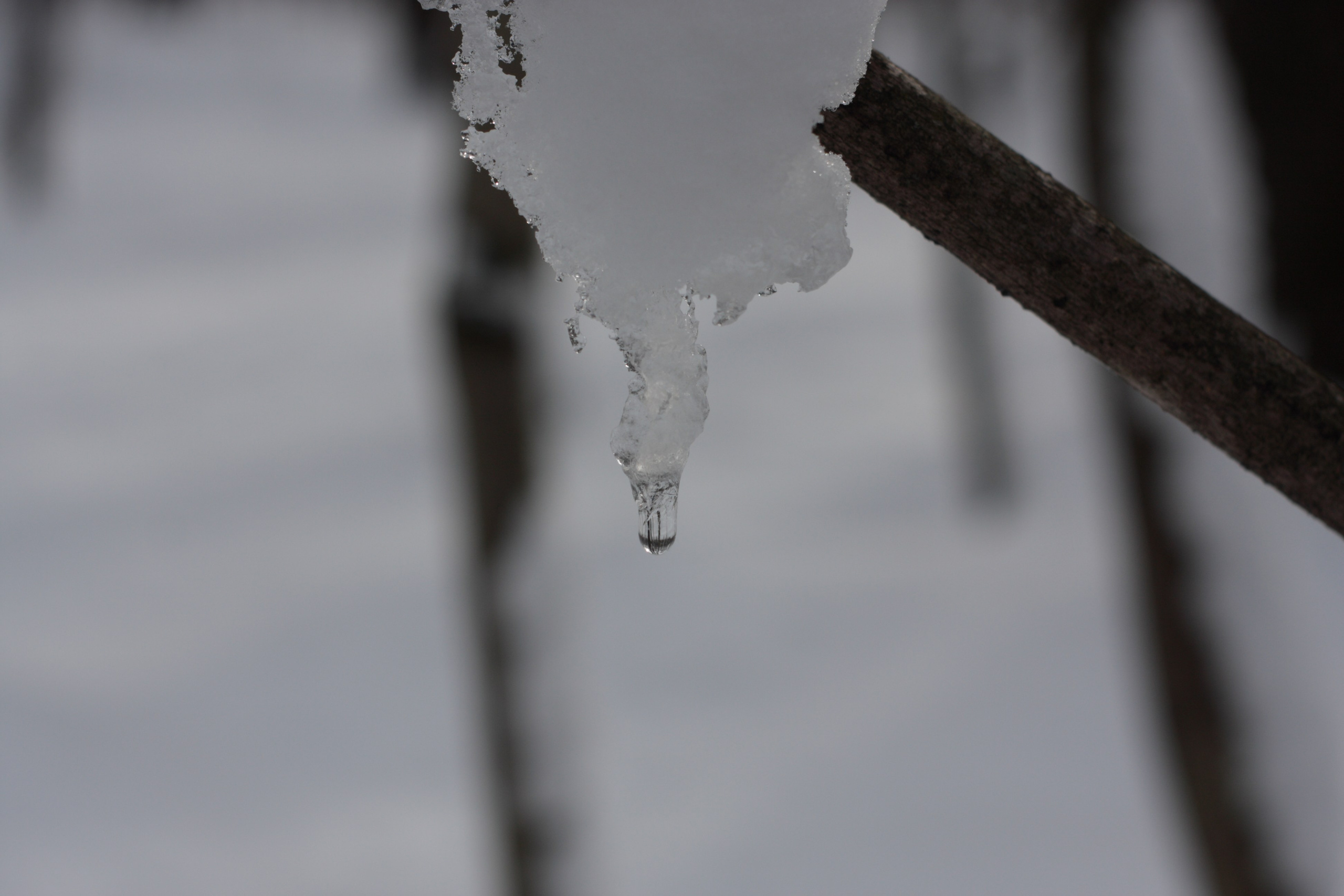 Старое природное, отбирала Katamount (Катерина Горохова). Главная