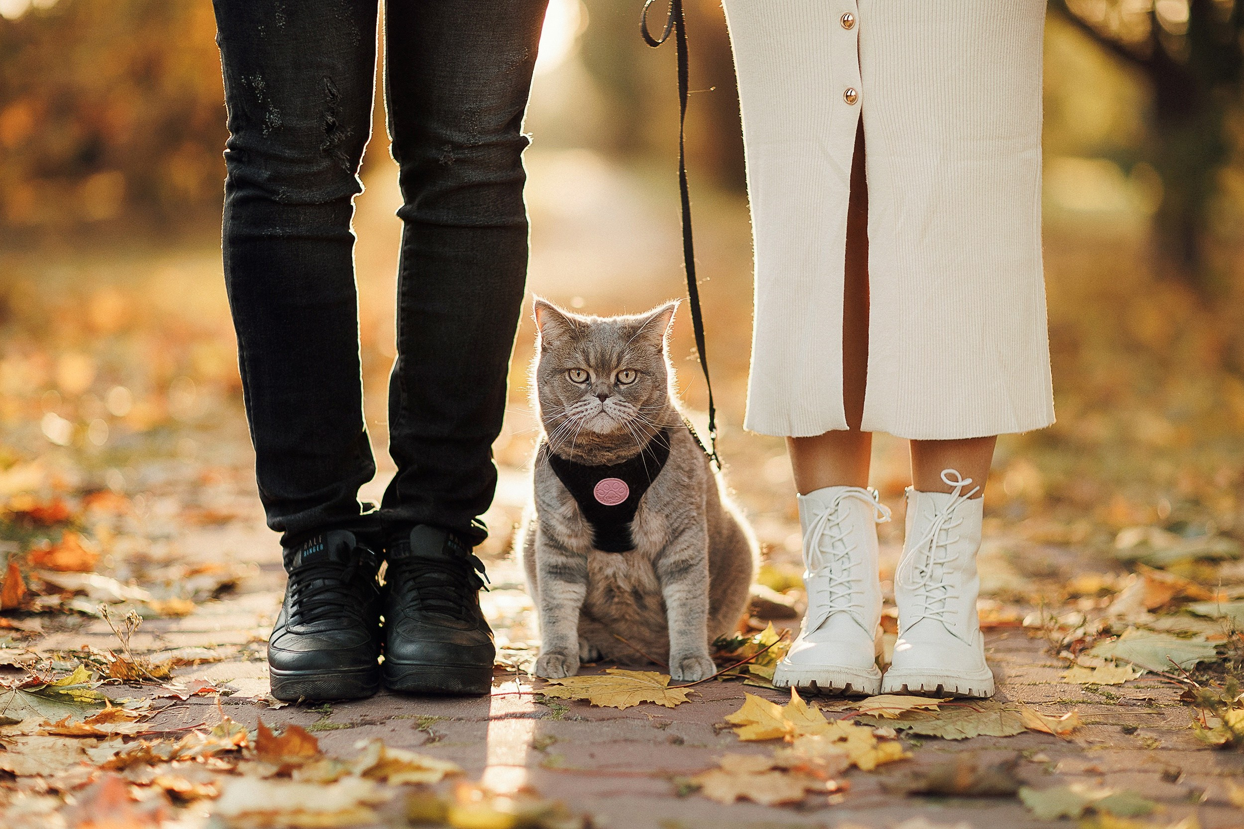 Лиза и Рома. Семейный, свадебный и персональный фотограф в Вологде Виктория Долгопо