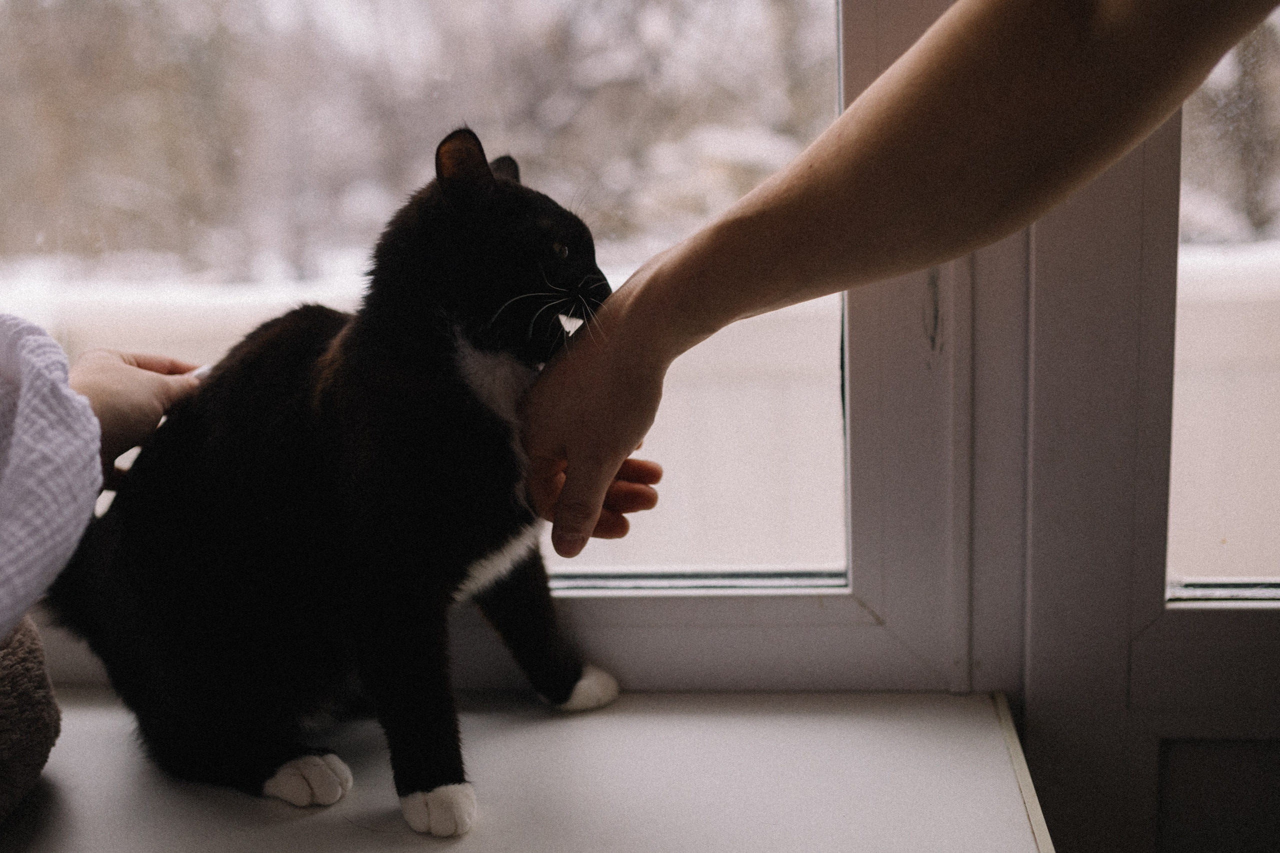 Беременная домашняя съемка Вика и Влад. Семейный фотограф в Москве и Люберцах Юлия Гуськова