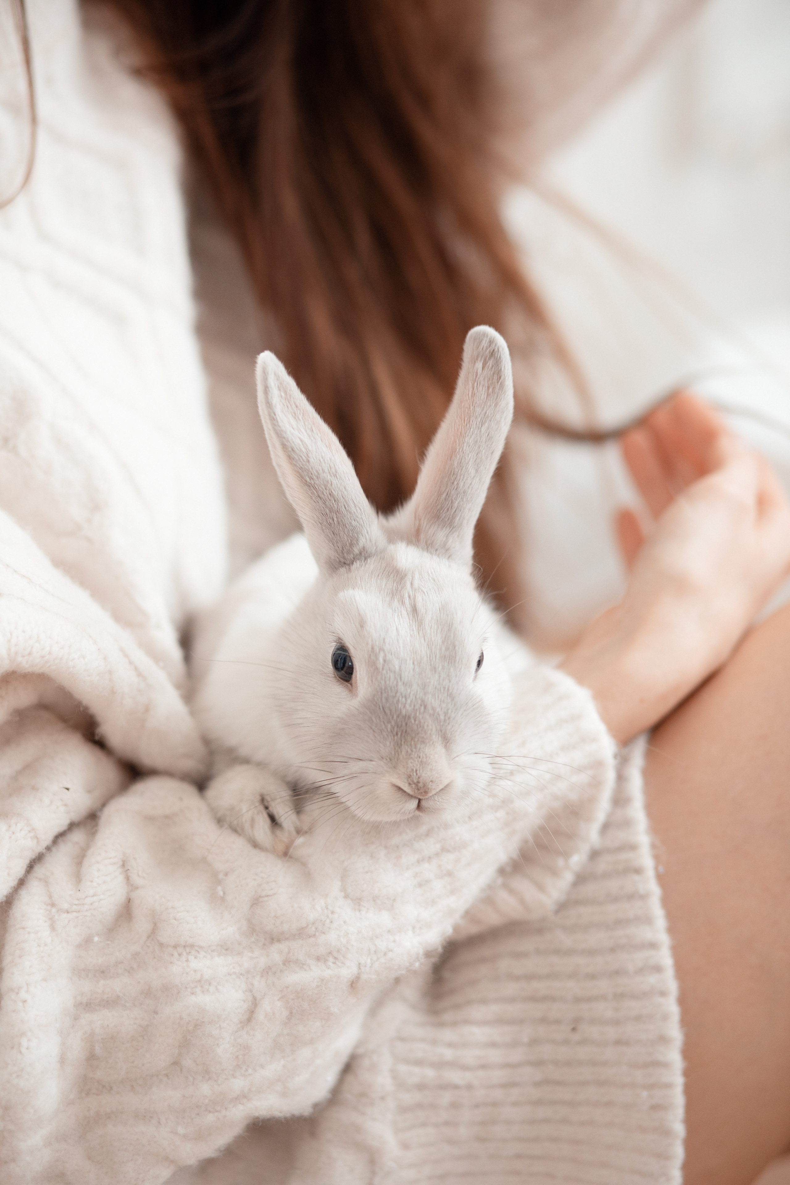 Питомцы. Галина Скибина фотограф в Астрахани