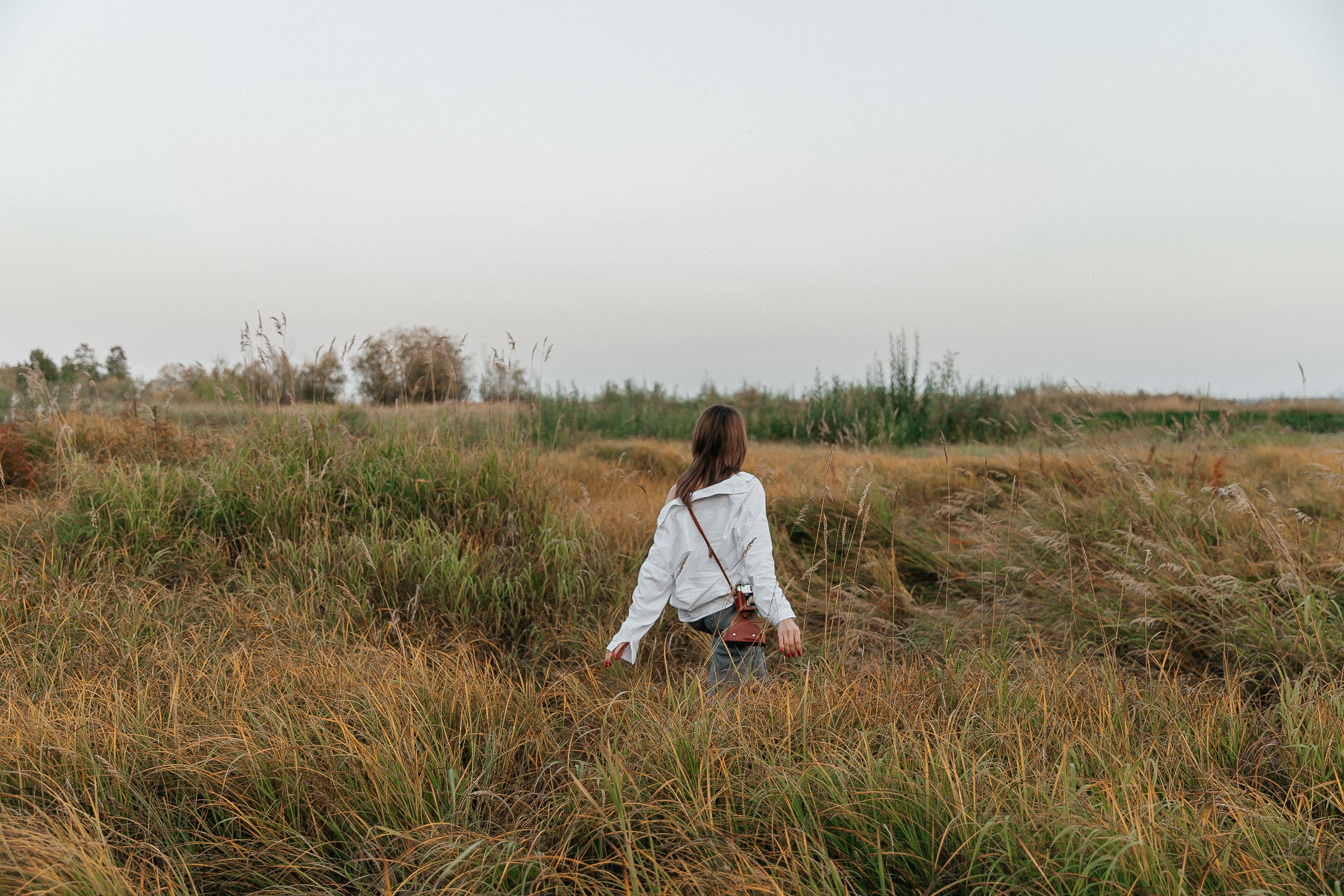 Лютик. Воронистая Анастасия. Фотограф Якутия, Томпонский район