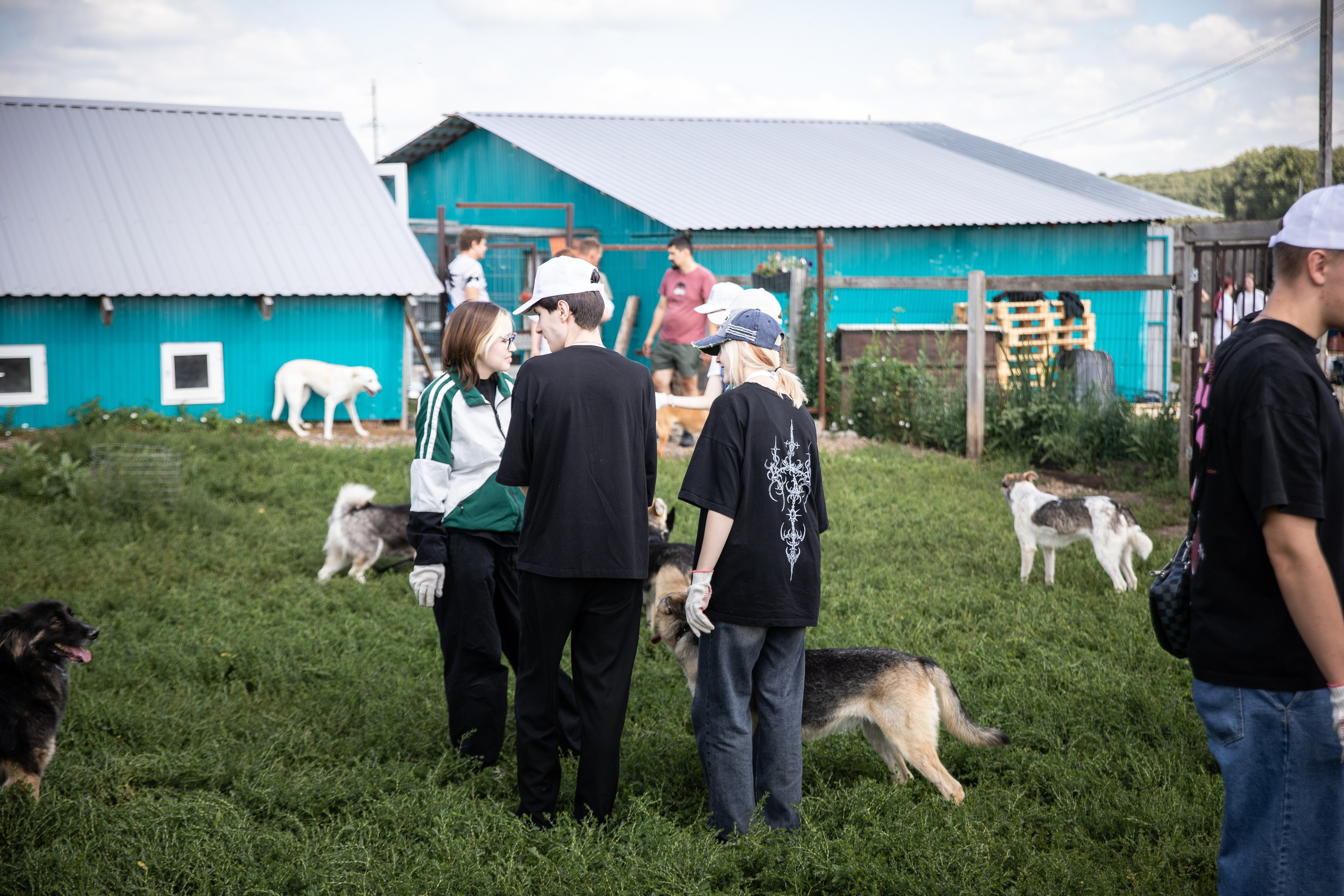 Приют — Наш дом. Репортажный и свадебный фотограф в Челябинске Елисеев Павел