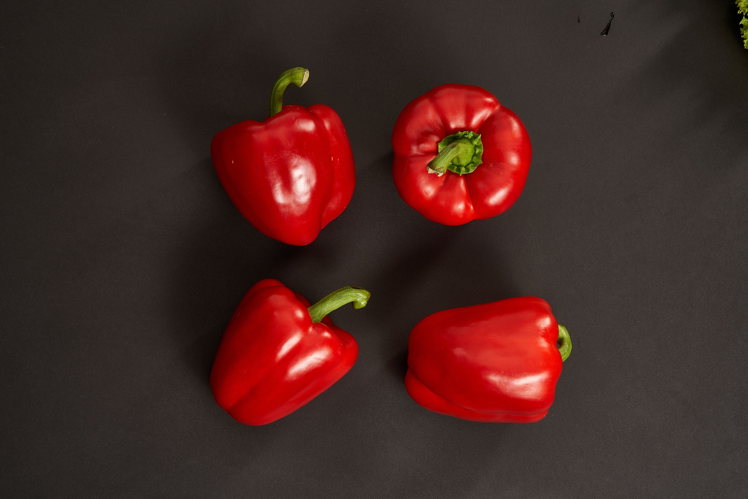 Without PROCESSING. Max Matvich and Victoria Basova are professionals in their field