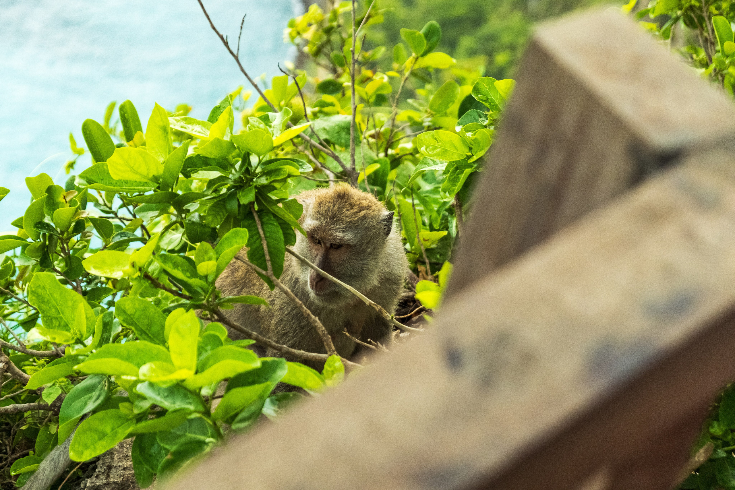 Остров Нуса Пенида. Фотографии из путешествий