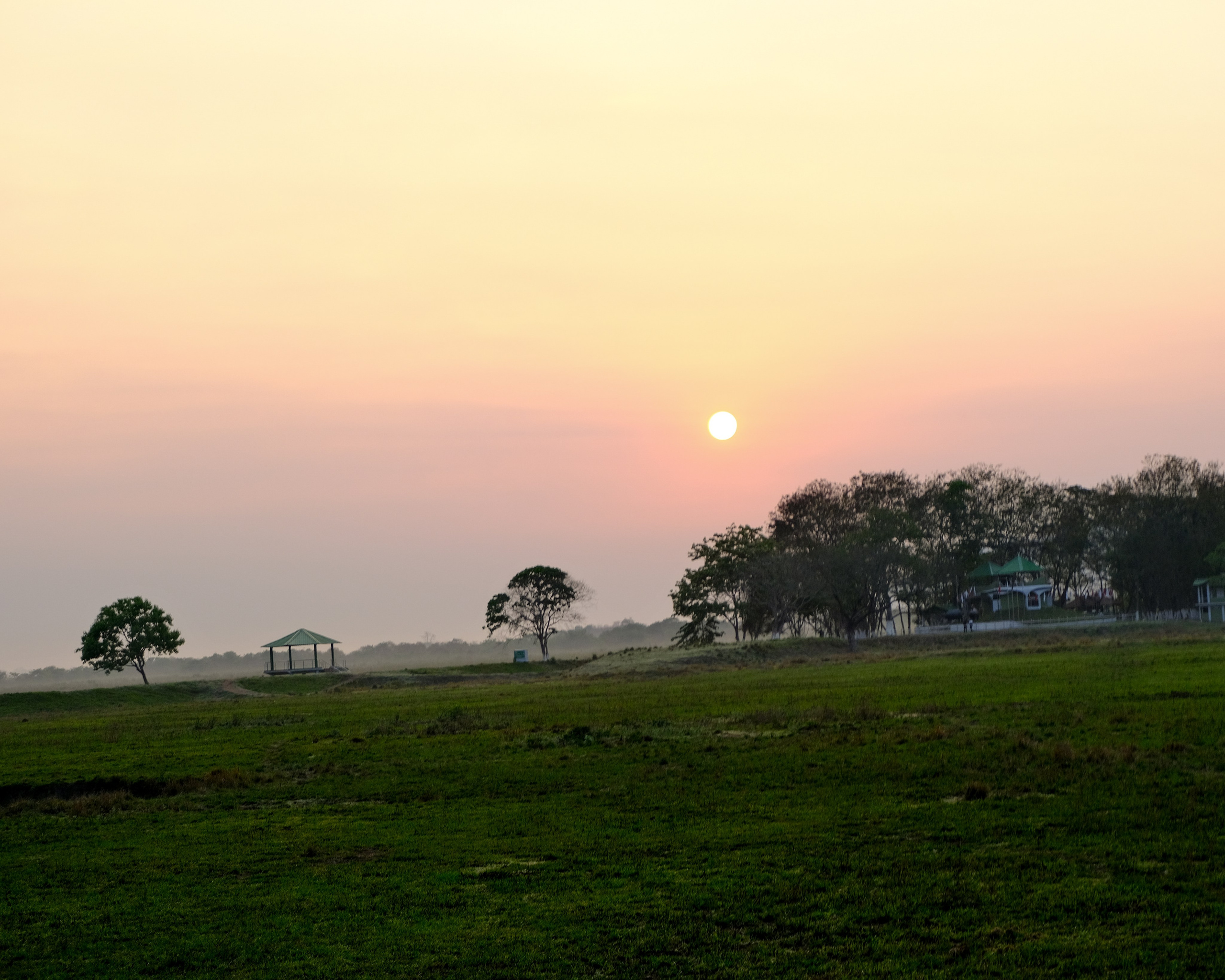 Ассам и Казиранга. Фотографии из путешествий