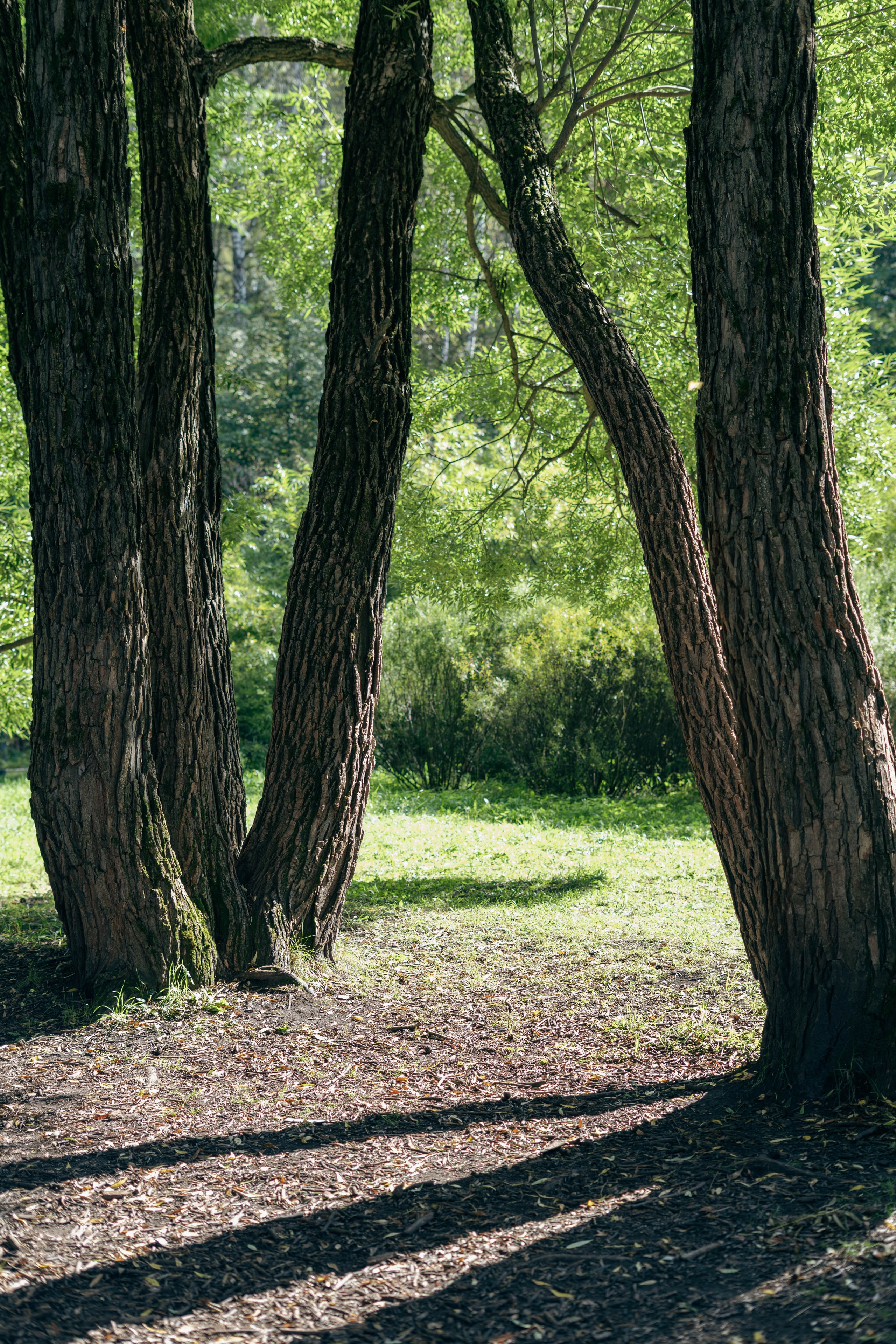 Фотосессия на природе Новосибирск Краснообск