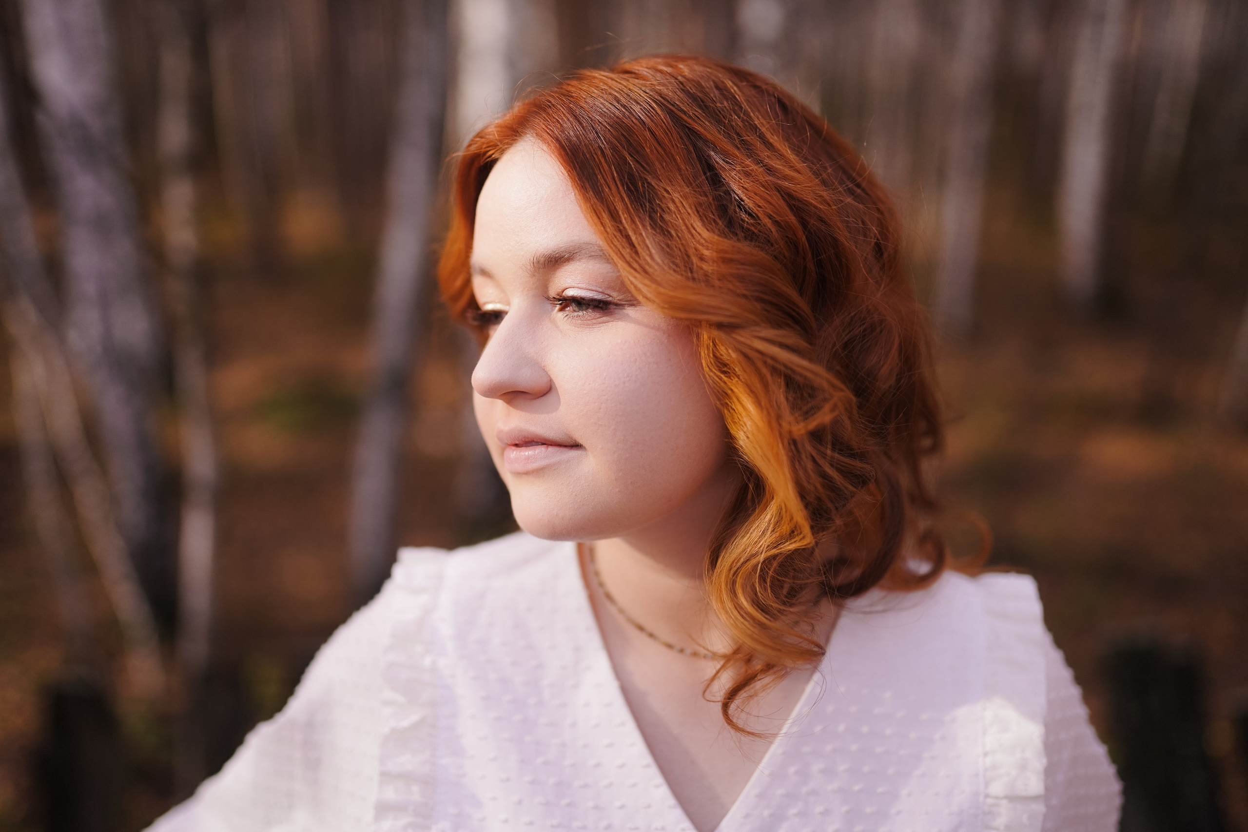 Домик на дереве