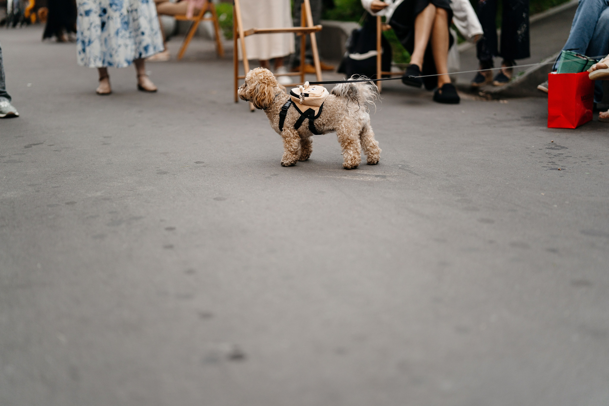 ГастроБистро Цирк. Свадебный и репортажный фотограф в Москве Андрей Вайман