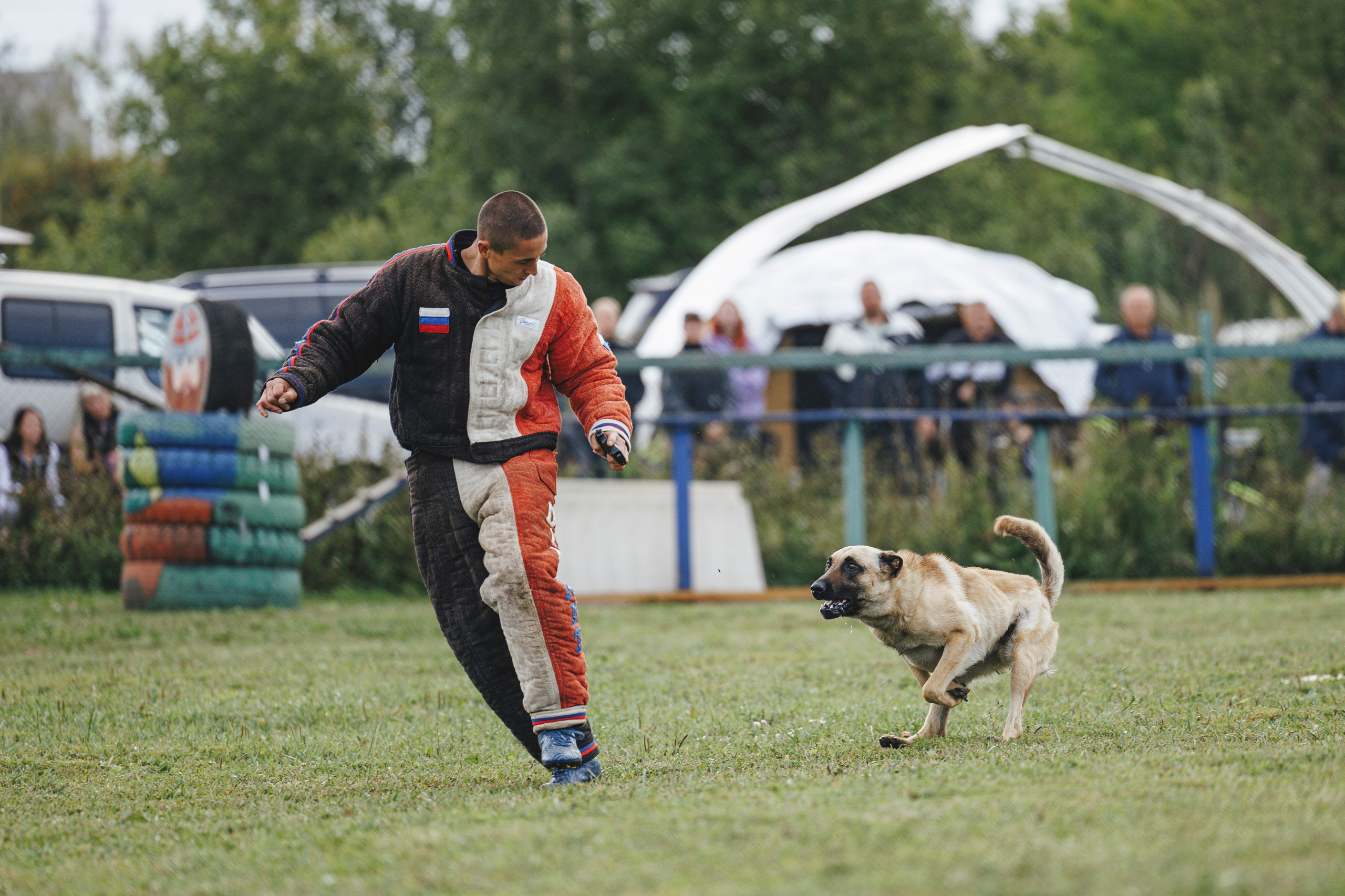 08.08.25-10.08.25 ЧР по мондьорингу г. Вологда. Фотограф-анималист Анна Маринич