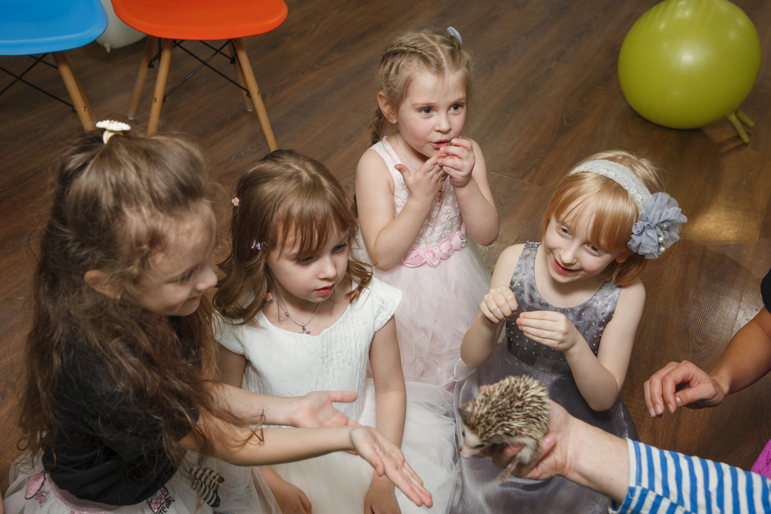 День рождения Егора, 6 лет, «Мультяшка». Свадебный и репортажный фотограф (Москва, Королев и другие)