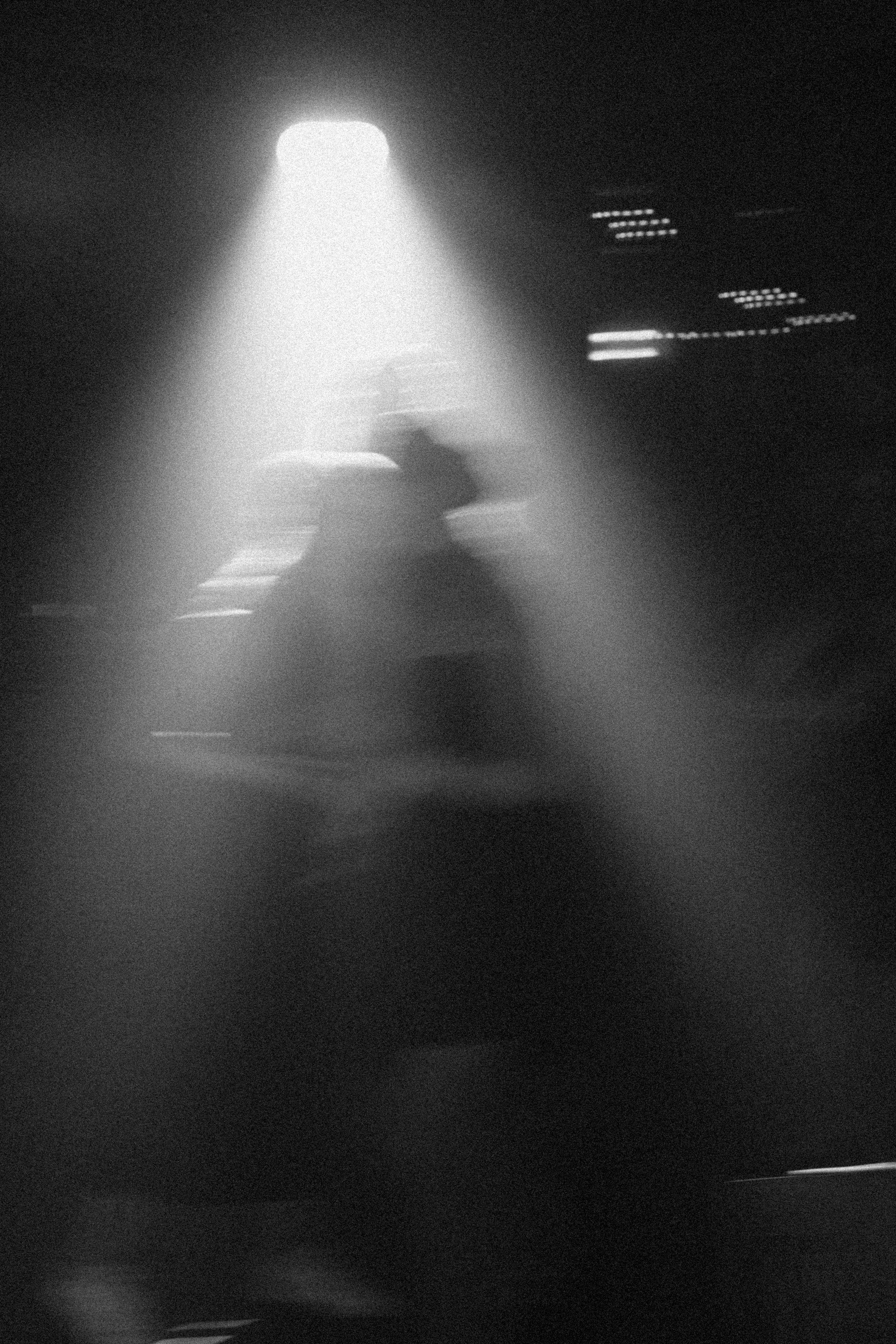 Котики. Свадебный фотограф Наташа Алешина