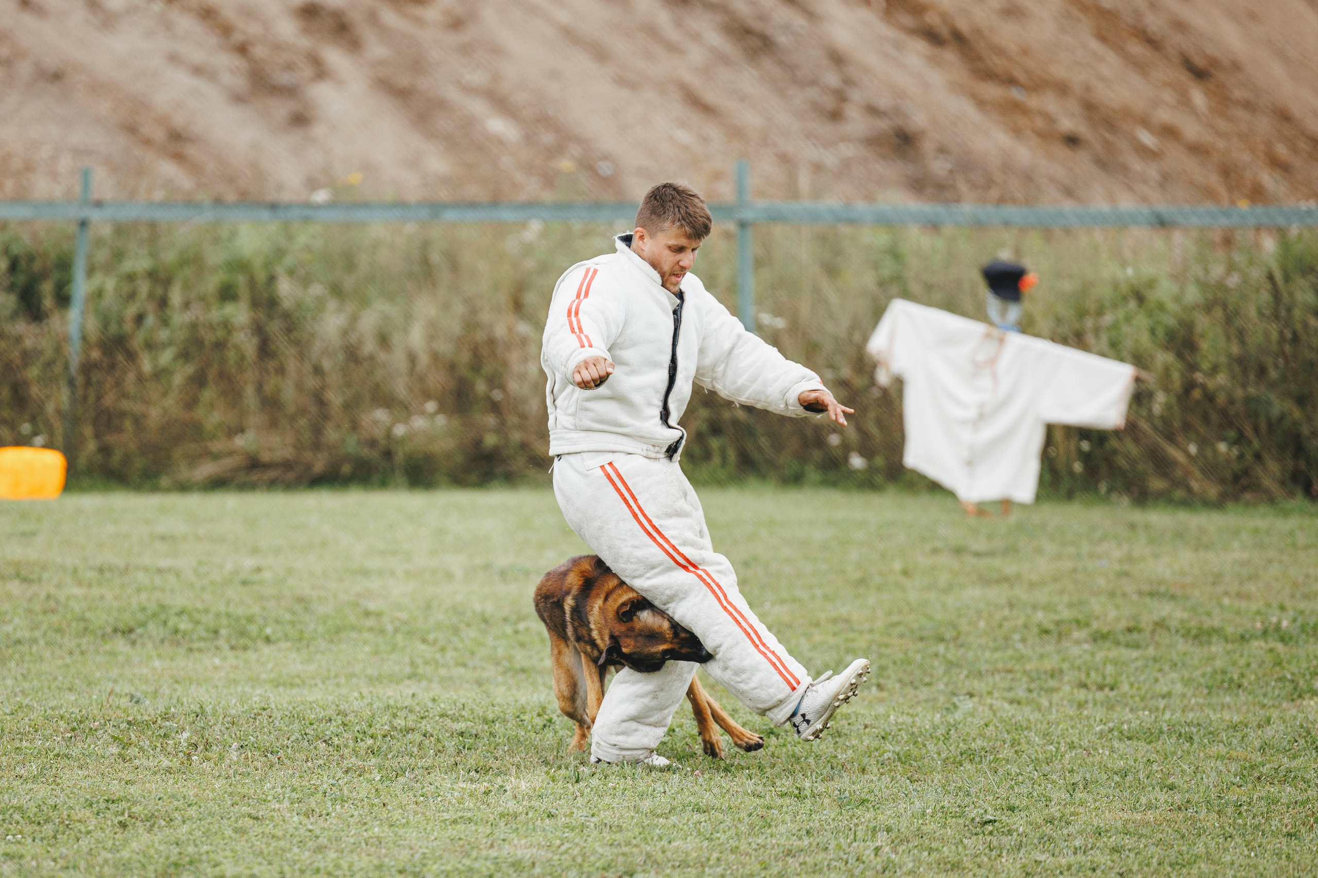08.08.25-10.08.25 ЧР по мондьорингу г. Вологда. Фотограф-анималист Анна Маринич