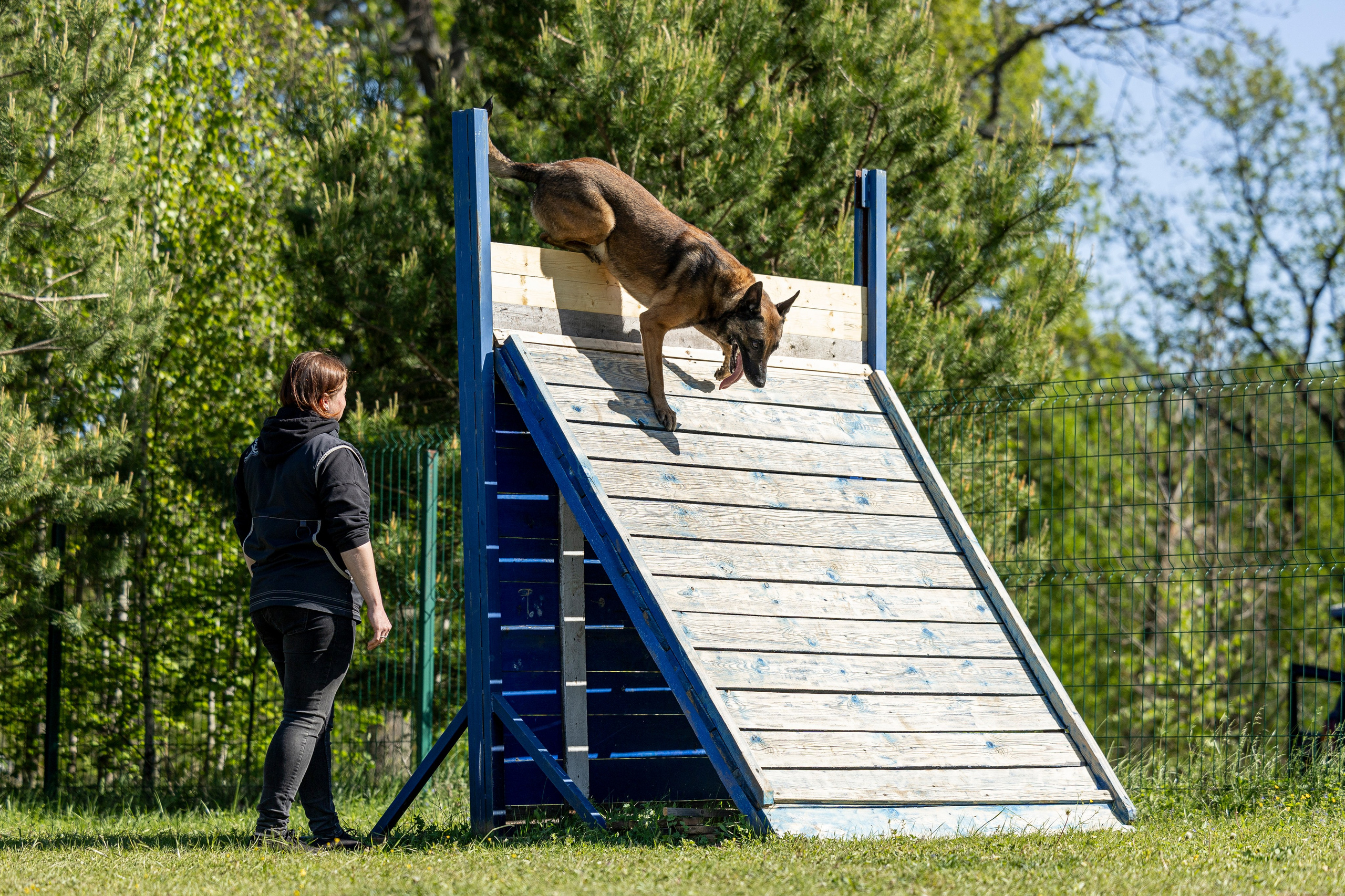Испытания по мондьорингу в Нижнем Новгороде. Фотограф-анималист Анна Маринич