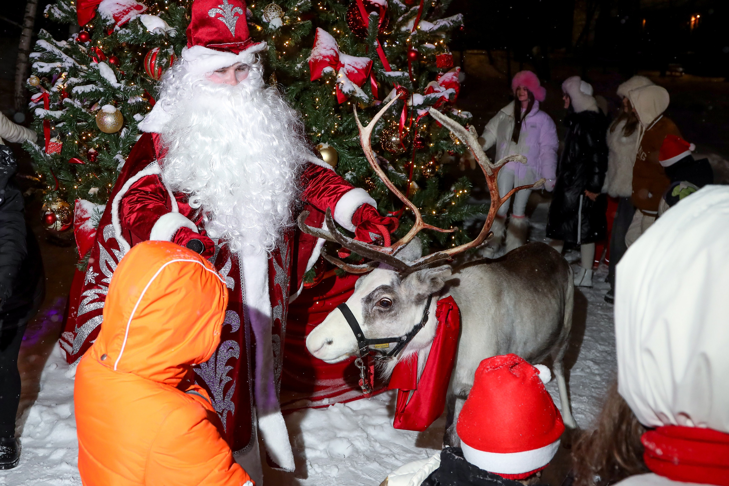 СТС Kids. Фотограф Антон Чупринин