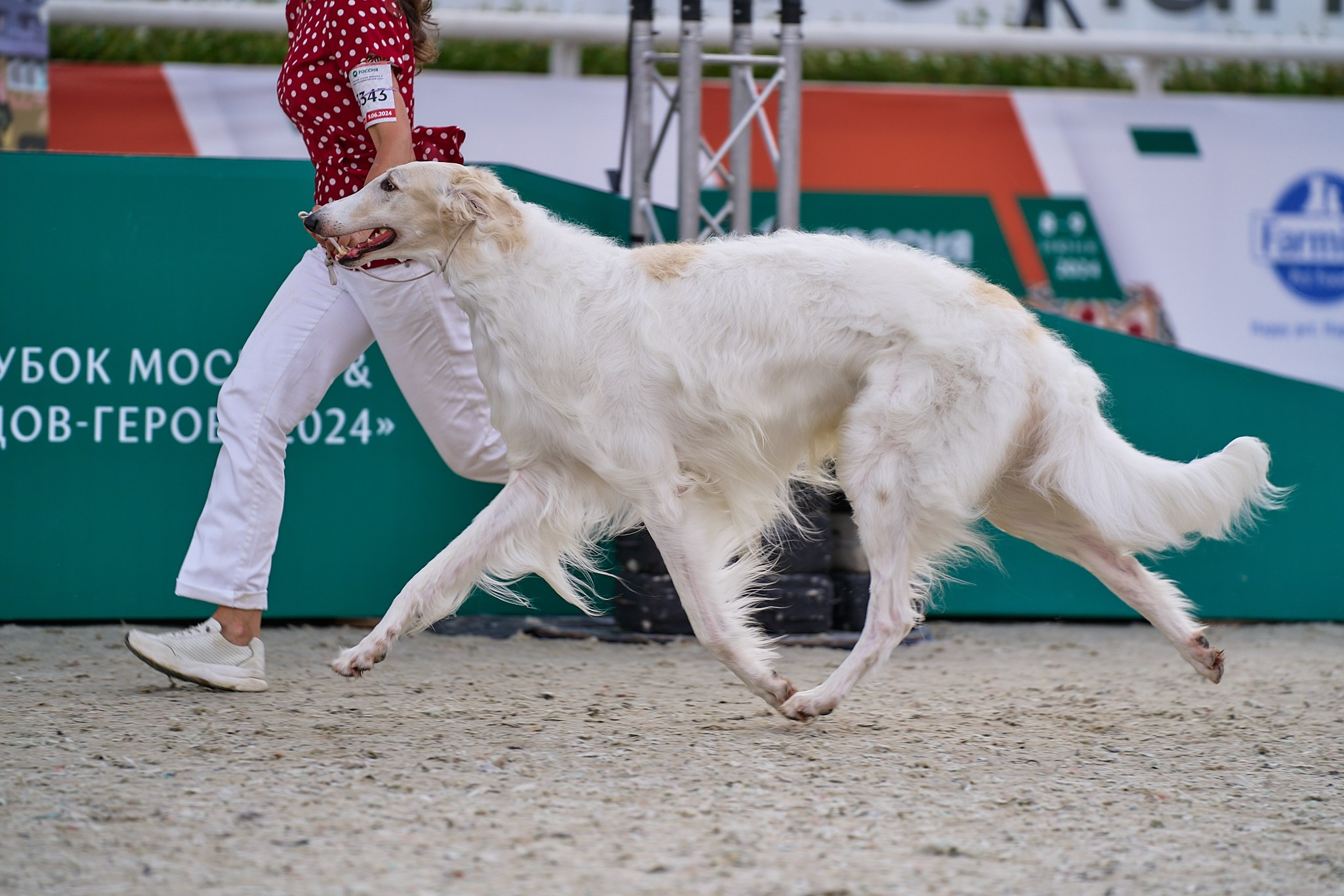 09.06.2024, «РОССИЯ. КУБОК МОСКВЫ 2024 & КУБОК ГОРОДОВ-ГЕРОЕВ»