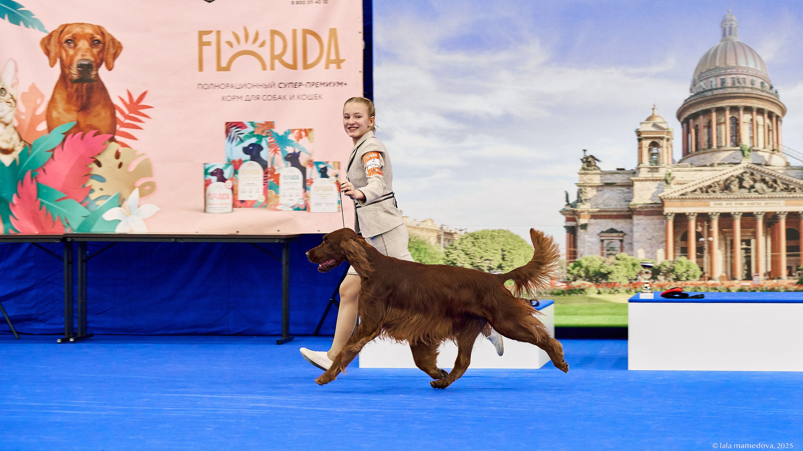 22-23 FEB 2025 | NATIONAL DOG SHOW «BALTIC TRIUMPH-2025»